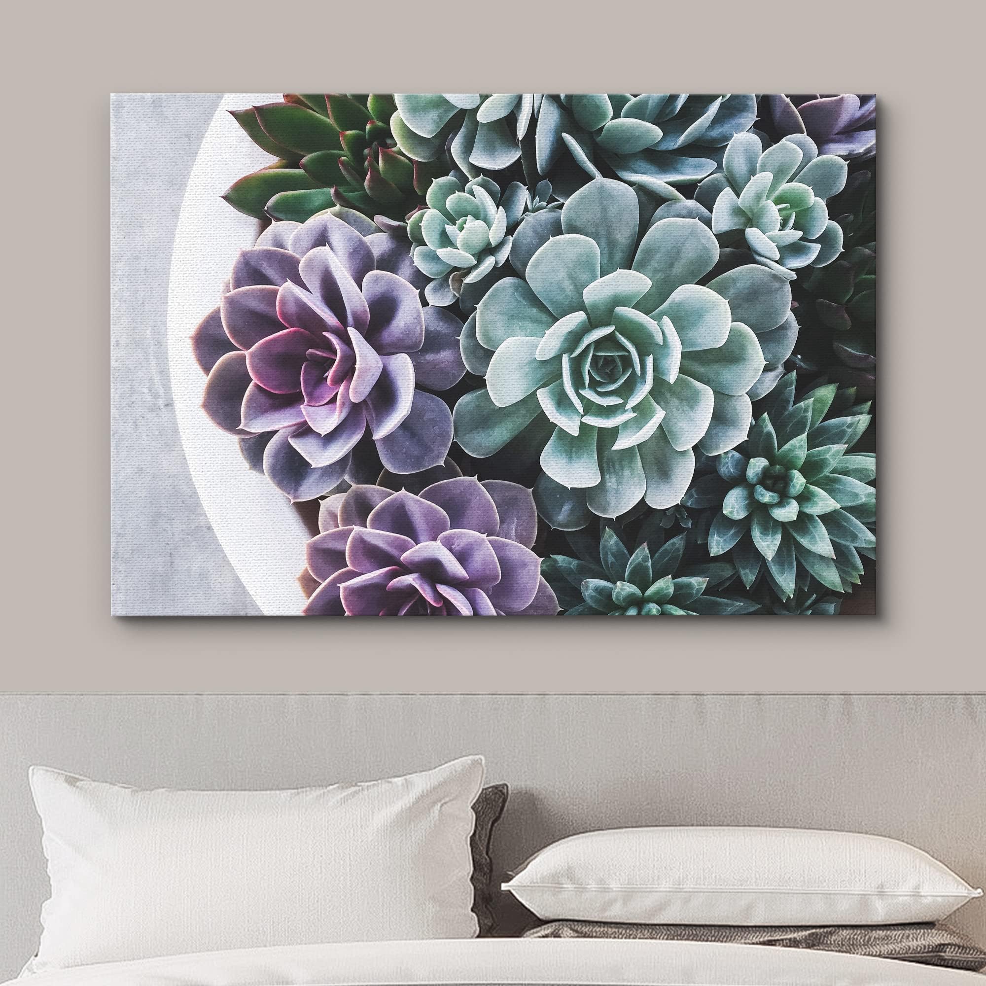 Wall26 Canvas Print Wall Art Purple Green Pearl Echeveria Succulents Nature Floral Photography Realism Botanical Wilderness Zen