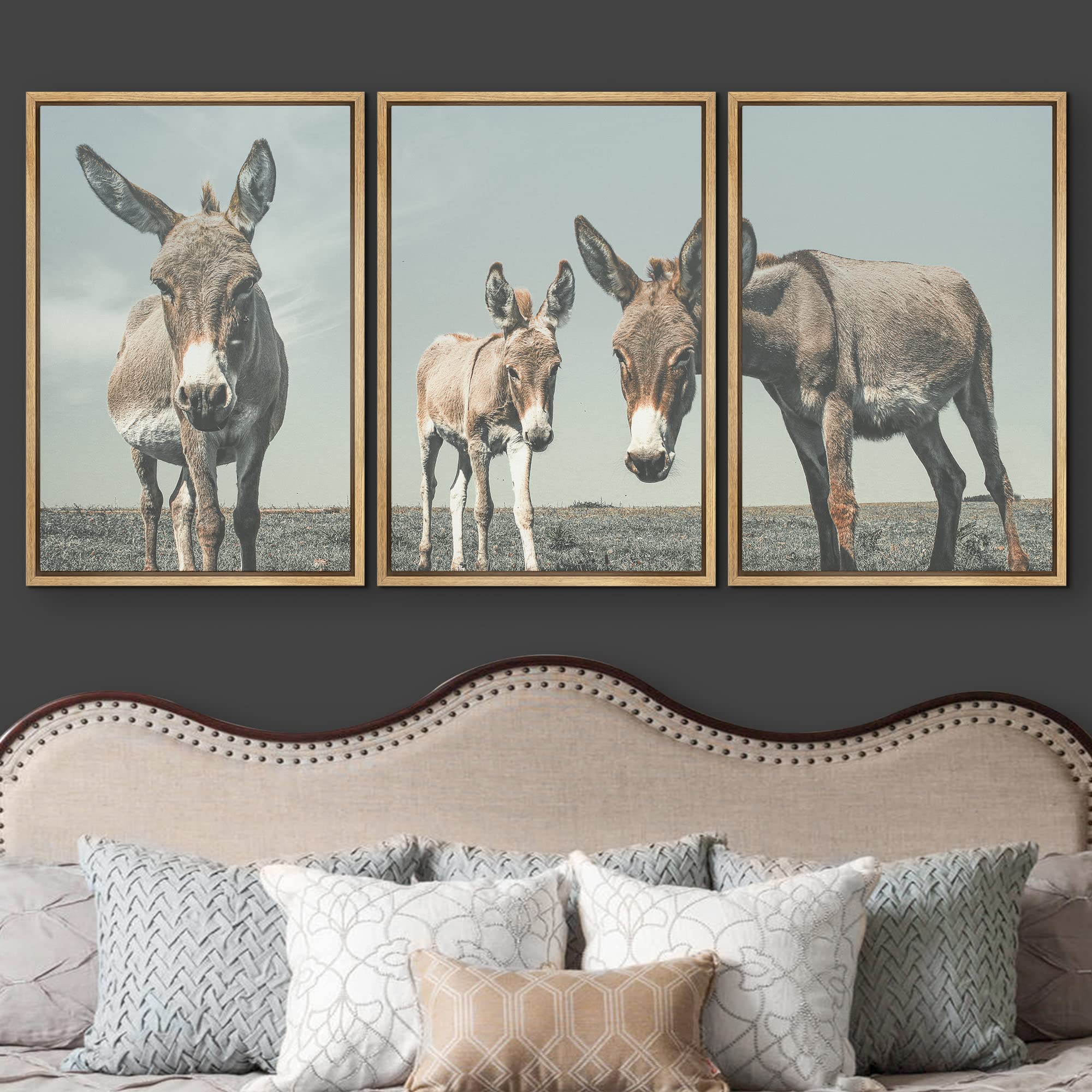 Wall26 Framed Wall Art Print Set Washed Out Retro Donkeys In The Desert Animals Wildlife Photography Realism Chic Portrait Color