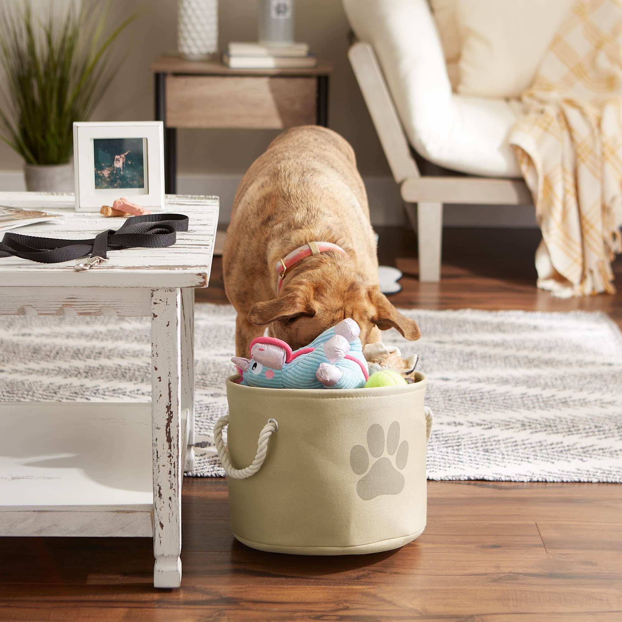 Bone Dry Pet Storage Collection Collapsible Bin  Small Round  Taupe