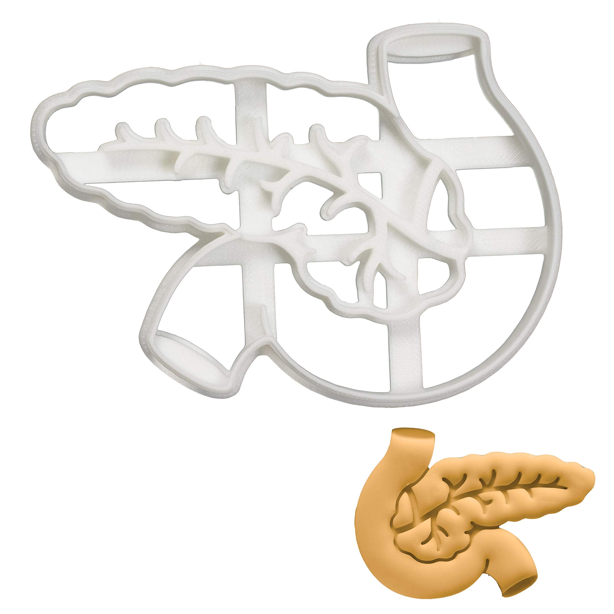 Pancreas Cookie Cutter, 1 Piece - Bakerlogy