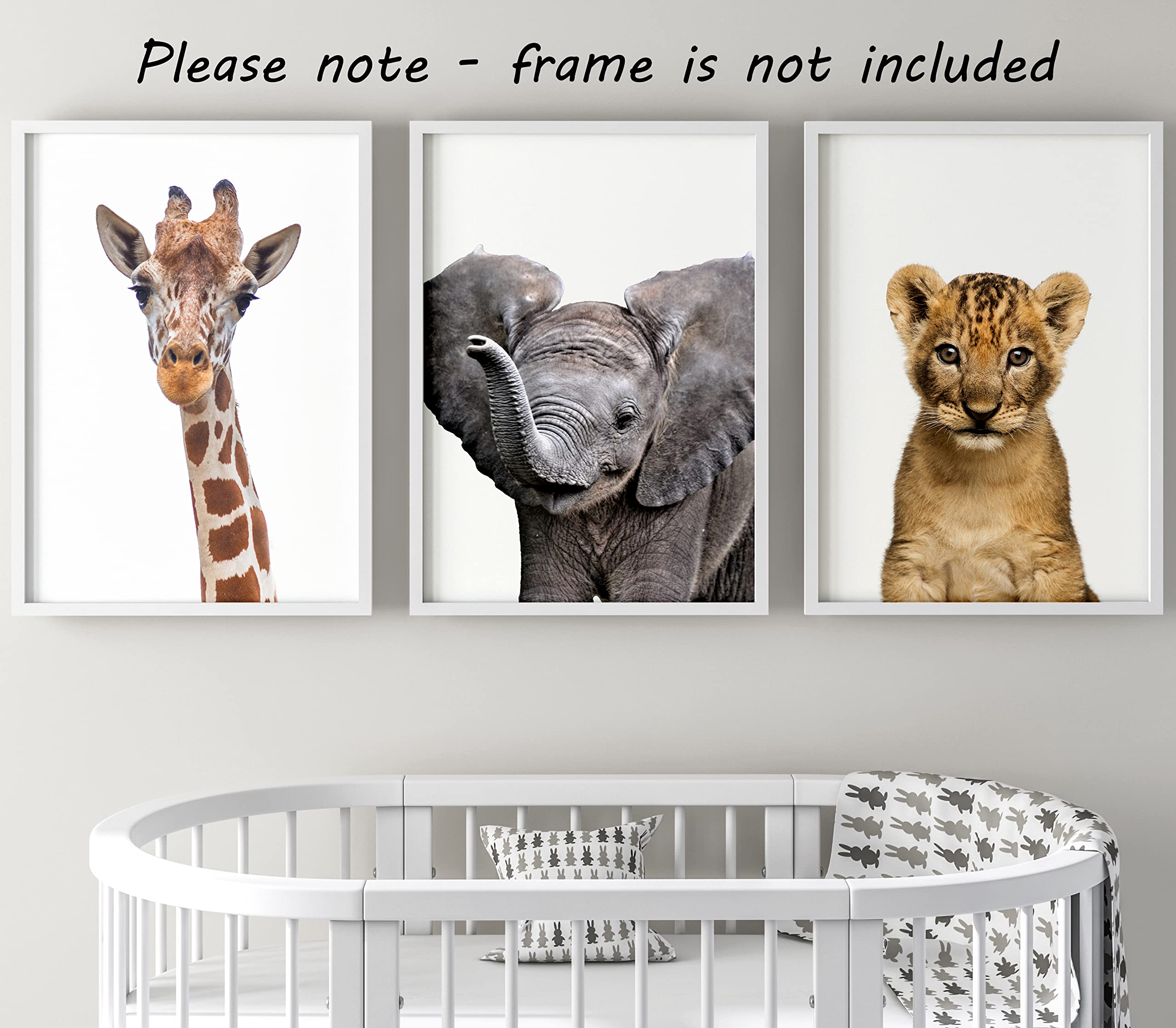 Realistic Baby Safari Animals Set Of 3 Girl Or Boy Unframed Nursery Prints, Bedroom Playroom Jungle Decor Wall Art Posters, Gira