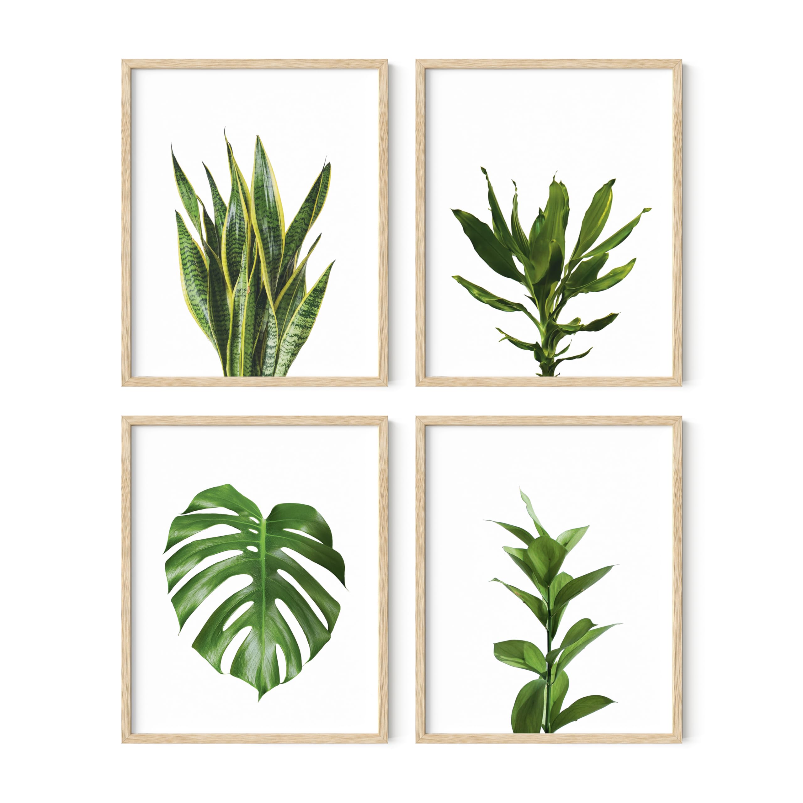 Haus And Hues Plant Wall Art - Set Of 4 Plant Pictures Wall Art And Green Wall Art Collection, Botanical Prints, Sage Green Leav