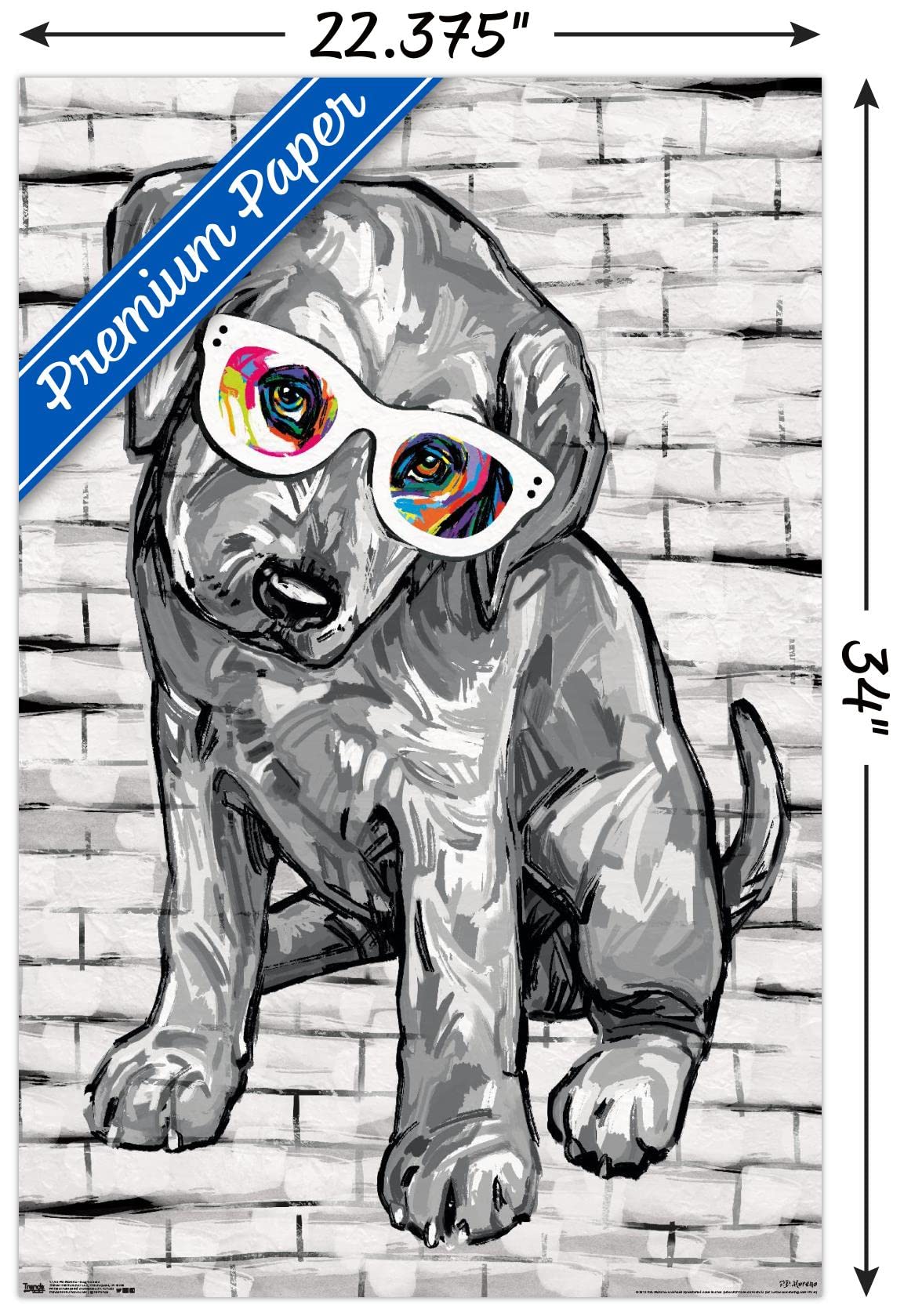 Trends International Pd Moreno - Dog Glasses Wall Poster, 22.375'' X 34'', Premium Unframed Version