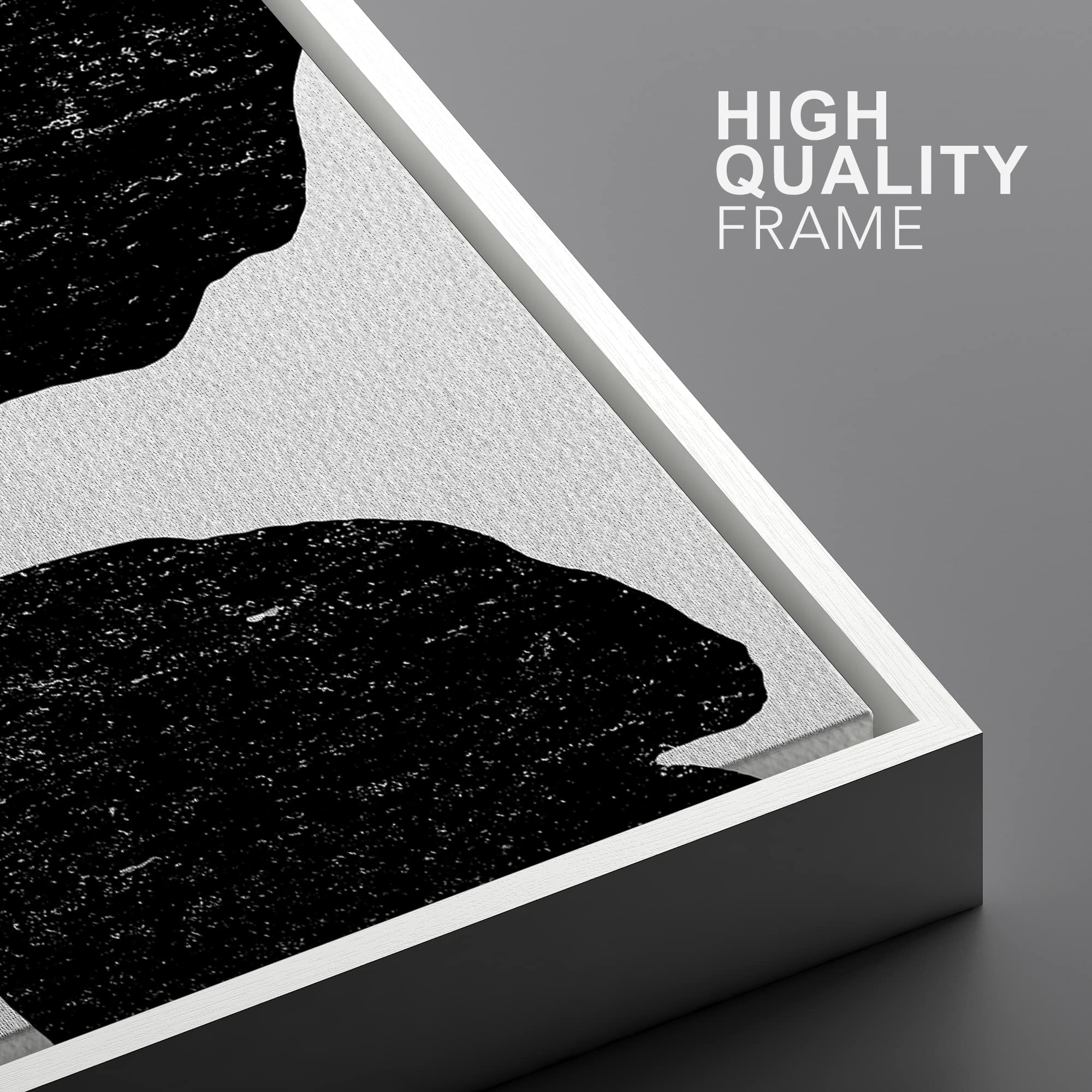 Ashbrook Framed Wall Art Print Set Black Flower Silhouettes Floral Botanical Photography Modern Rustic Scenic Relax/Calm Multico