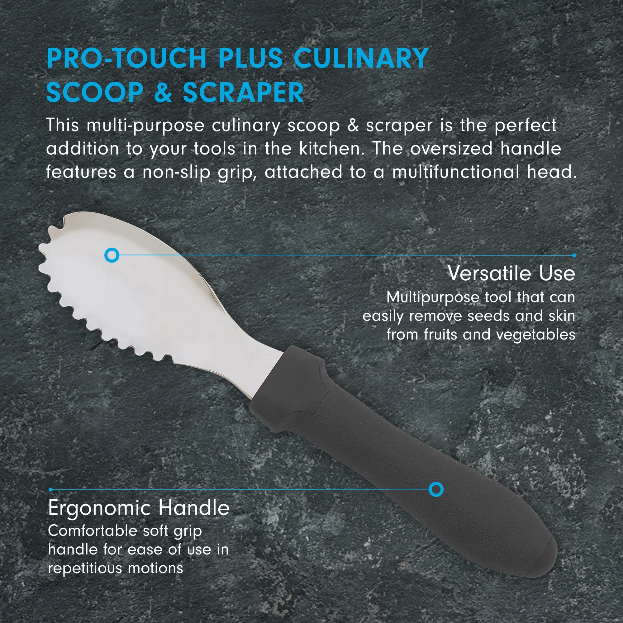 Messermeister Pro-Torch Plus Culinary Scoop & Scraper - Multi-Purpose Tool to Remove Seeds  Pulp & More - AISI420 Stainless Steel & Oversized Handle