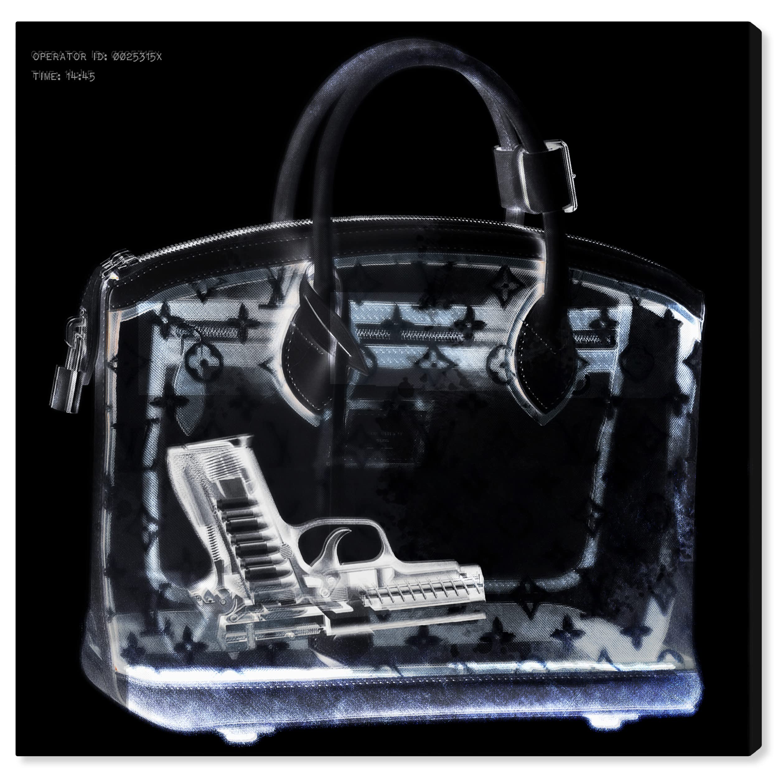 The Oliver Gal Artist Co. Fashion And Glam Wall Art Canvas Prints 'Couture X Ray' Handbags Home D  Cor, 16 In X 16 In, Black, Wh