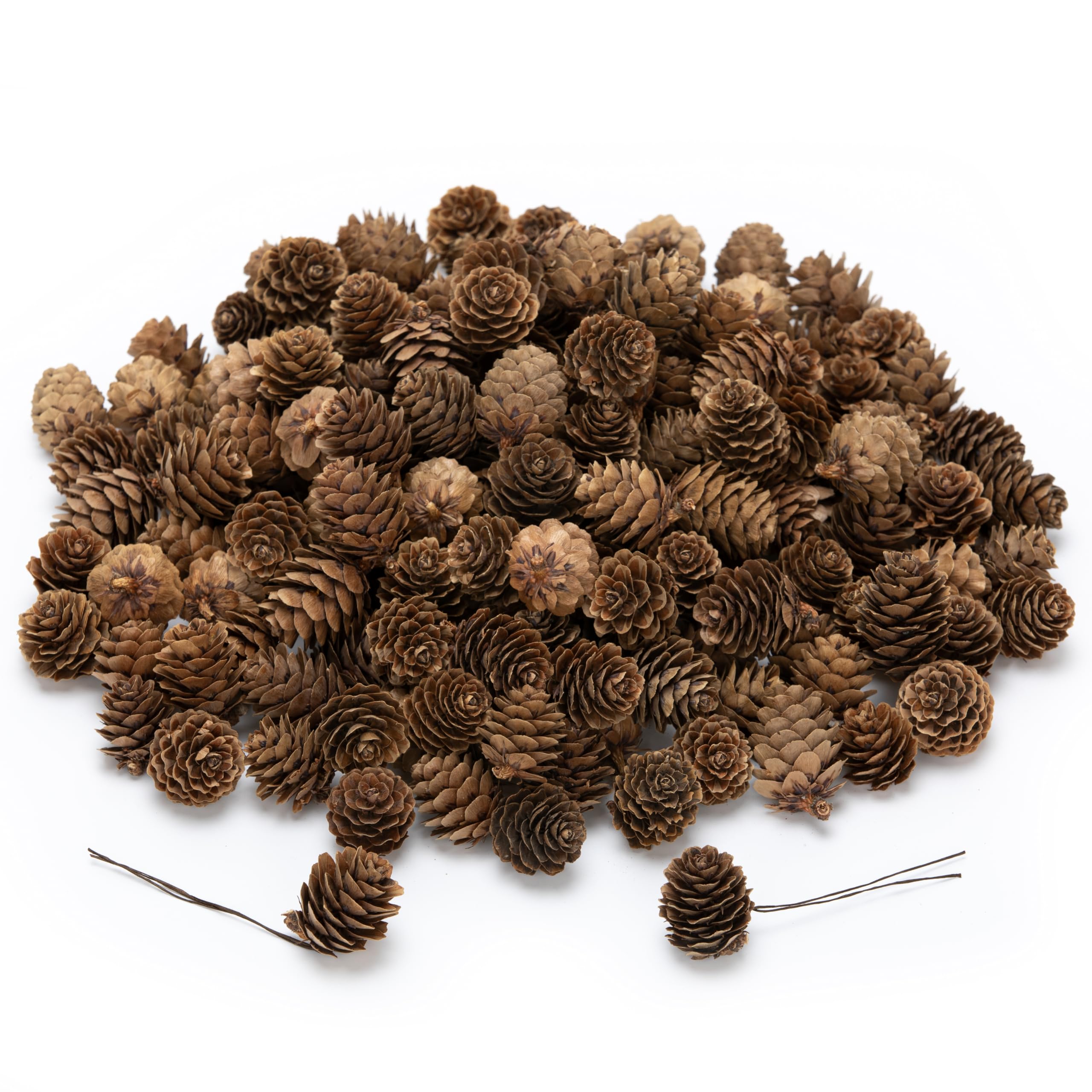 Lescli 168 Pcs Natural Mini Pine Cone Kit with Brown Iron Wires for DIY - 0.6-1.2 Small Pinecones Ornaments Bulk for Crafts, Vas