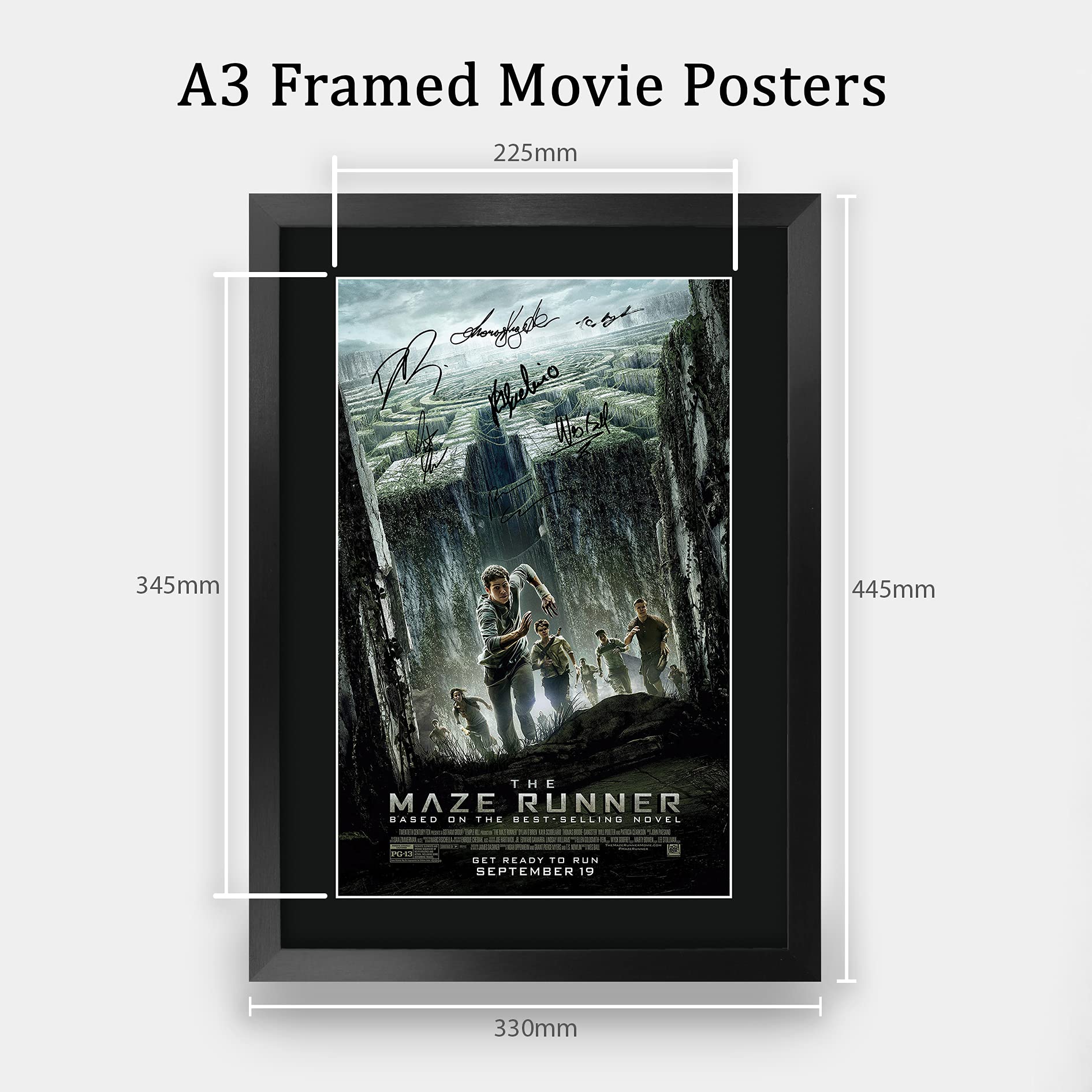 Hwc Trading The Maze Runner 1 16 X 12 Inch Framed Gifts Printed Poster Signed Autograph Picture For Movie Memorabilia Fans - 16'