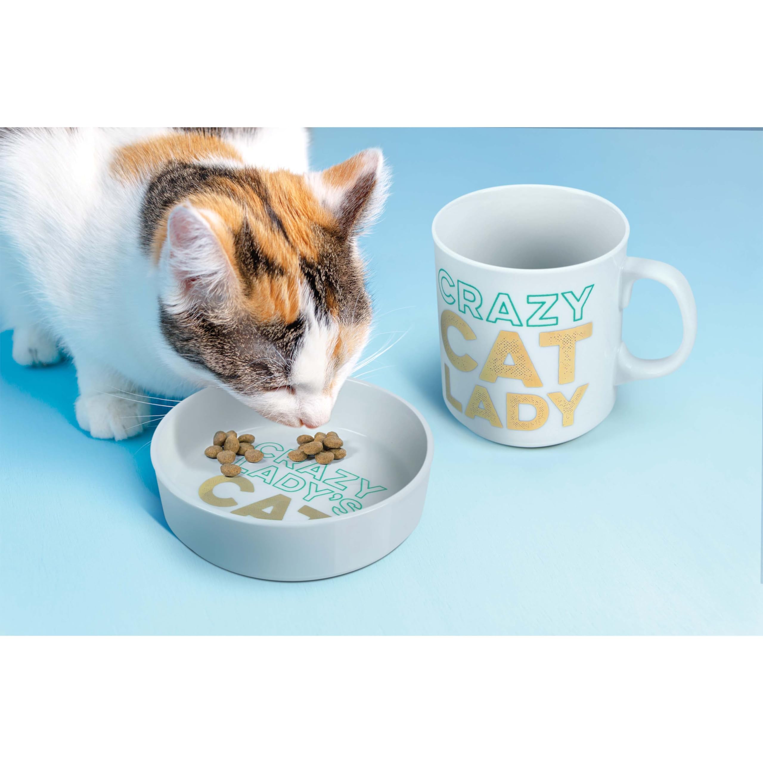 Genuine Fred Howligans - Mug + Cat Bowl - Crazy Cat Lady, White