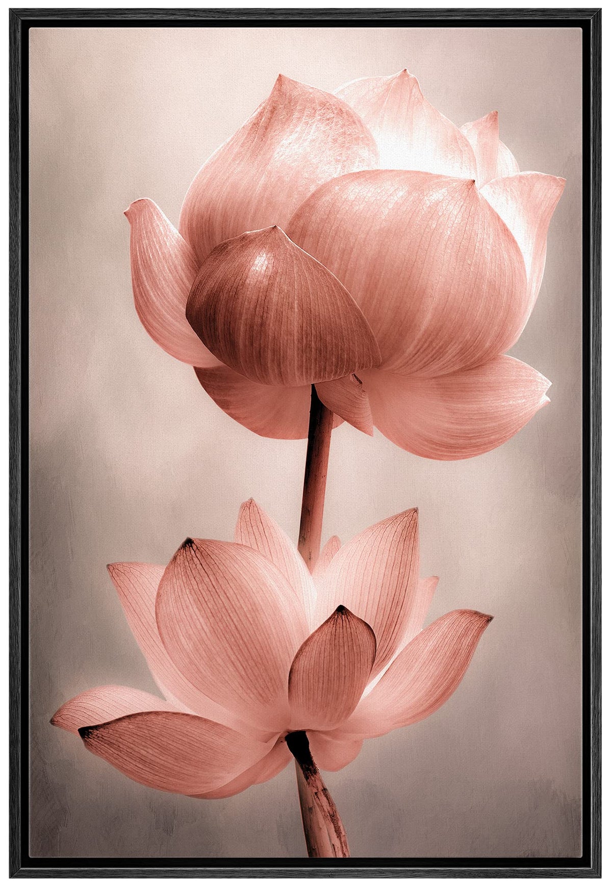 Wall26 Framed Canvas Wall Art - Closeup Of Lotus Flower - Gallery Wrap Modern Home Art | Ready To Hang - 16''X24'' Black