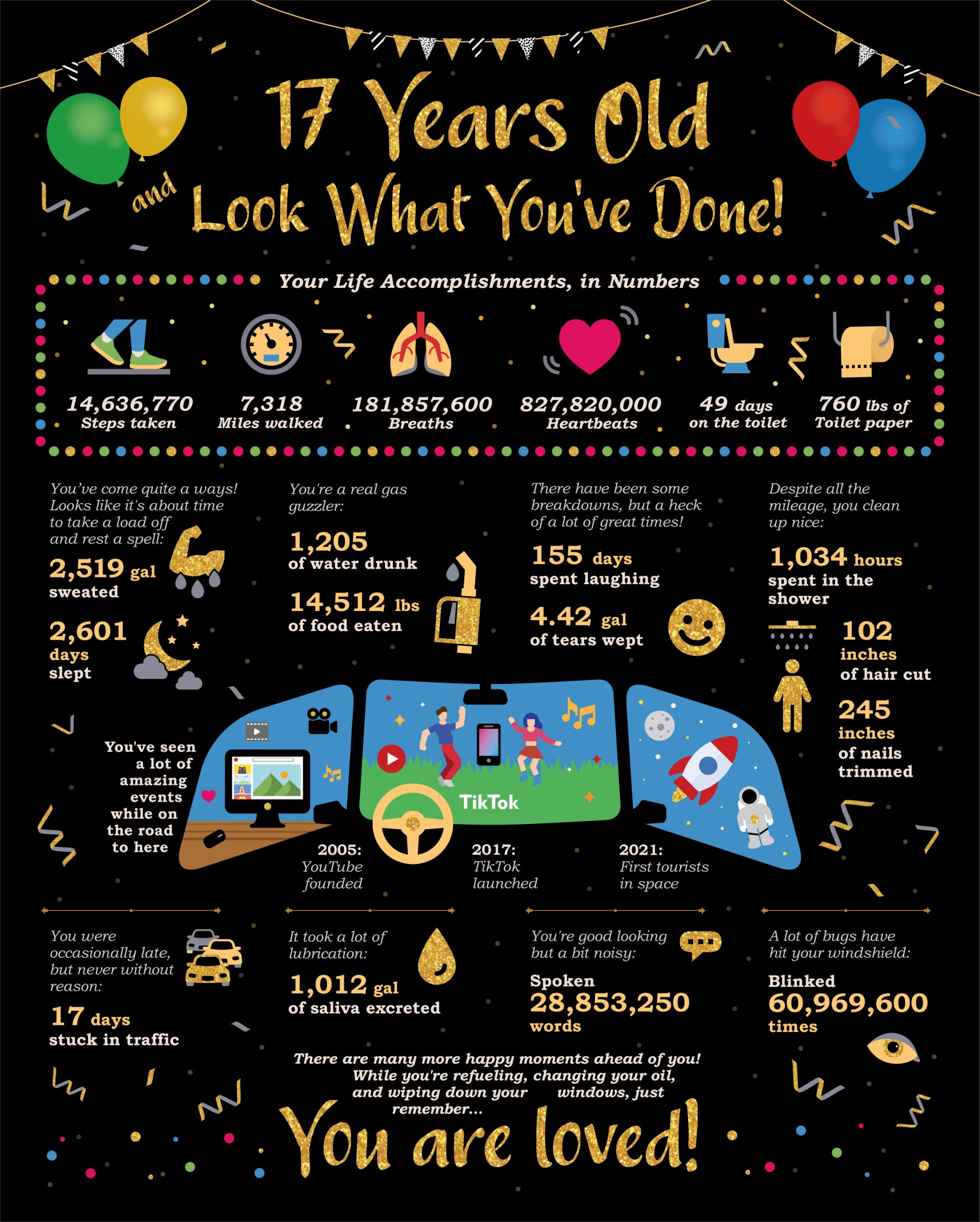 Card Birthday Life In Numbers - 17Th Birthday Decorations - Birthday Gift Ideas For 17 Years Old - 17Th Birthday Gifts - 17 Birt