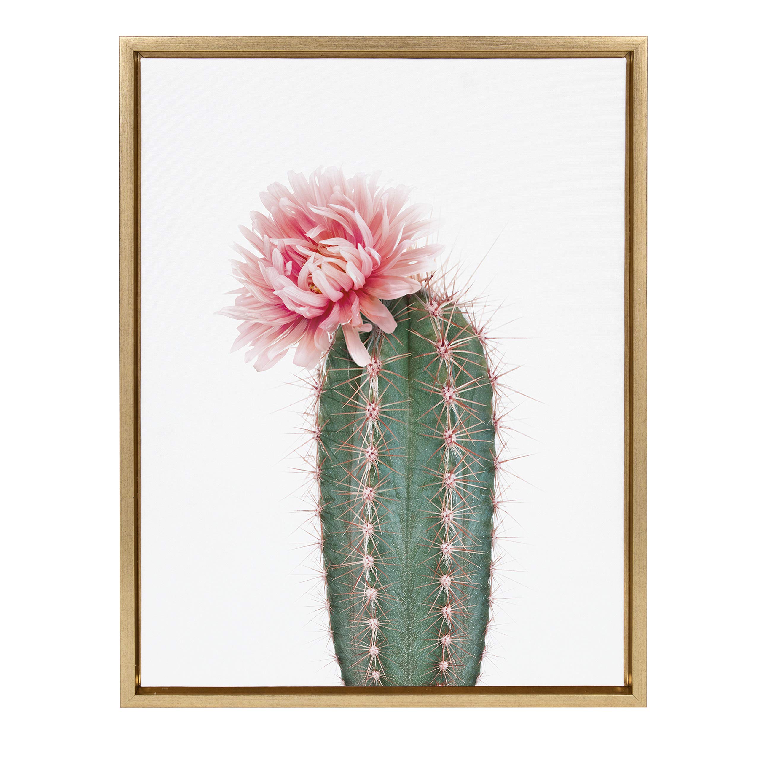 Kate And Laurel Sylvie Pink Cactus Flower Framed Canvas Wall Art By Amy Peterson, 18X24 Gold