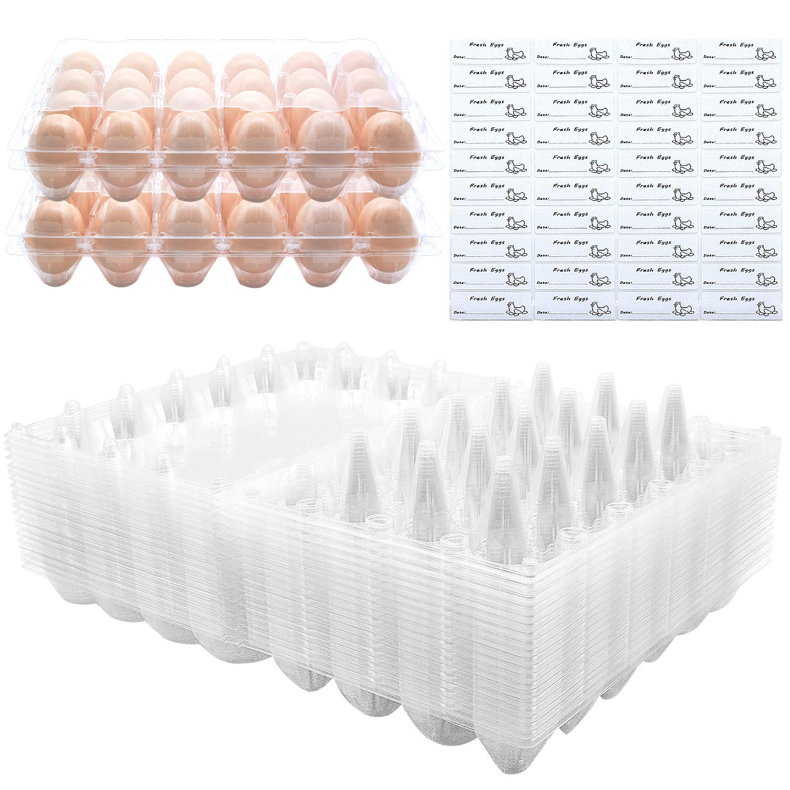 Bulkbuy Egg Cartons 40 Packs, Clear Eco-Friendly Plastic Blank Egg Cartons With Free Labels, Holds Up To 24 Eggs Securely, Perfe