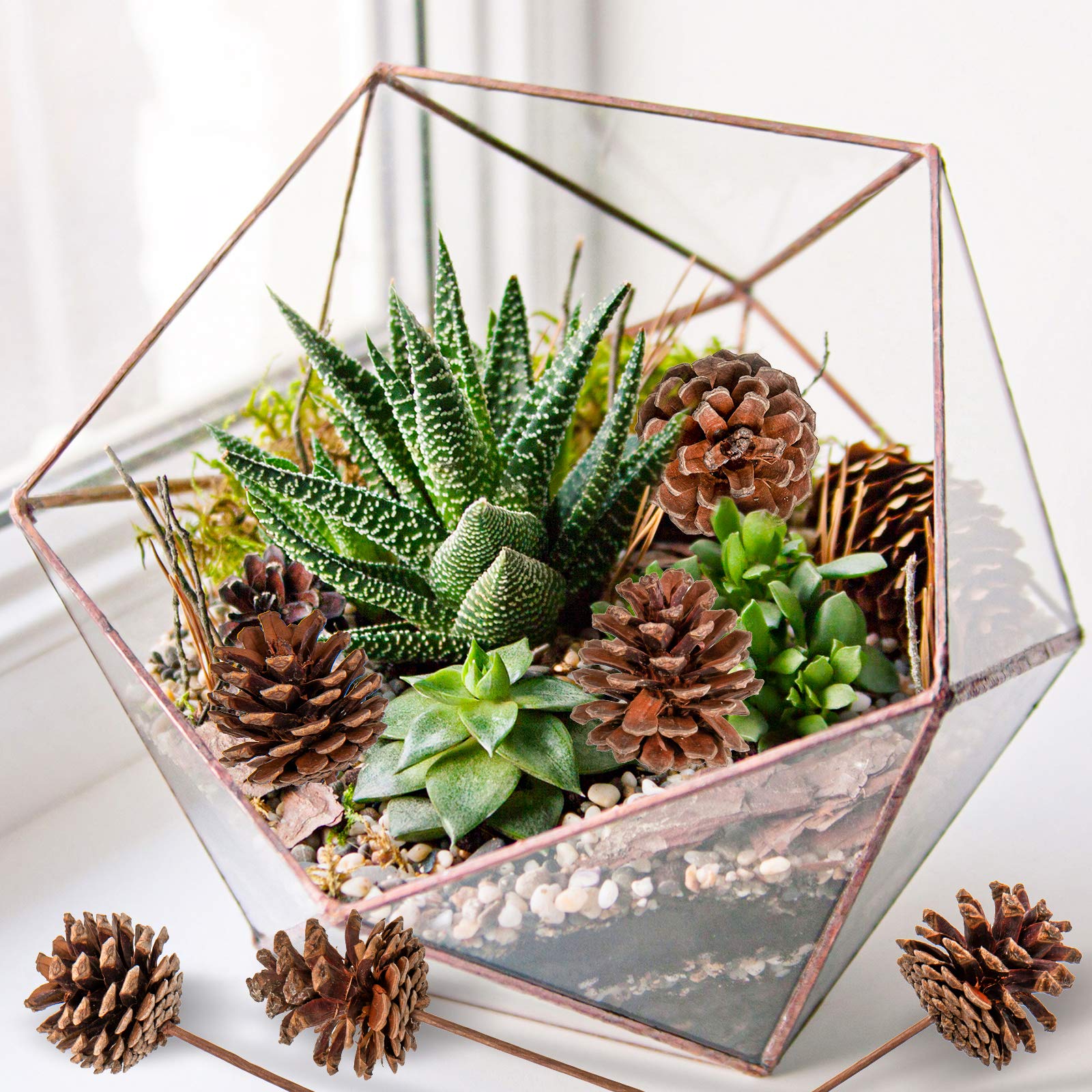 Whaline Christmas Natural Pine Cones 12 Pieces Pinecone Picks Christmas Tree Ornament Holiday Centerpiece for Xmas Tree Garland