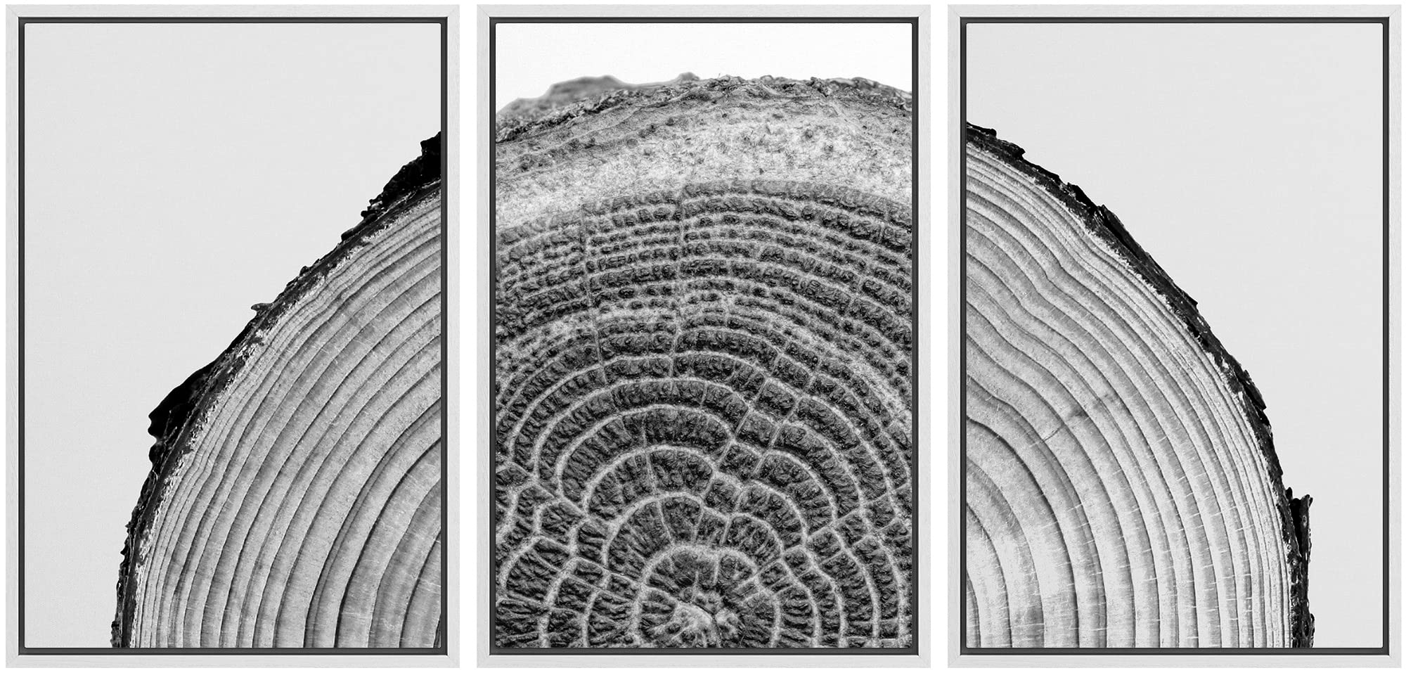 Nwt Framed Canvas Print Wall Art Set Black White High Contrast Wood Tree Rings Nature Wilderness Photography Modern Art Rustic S