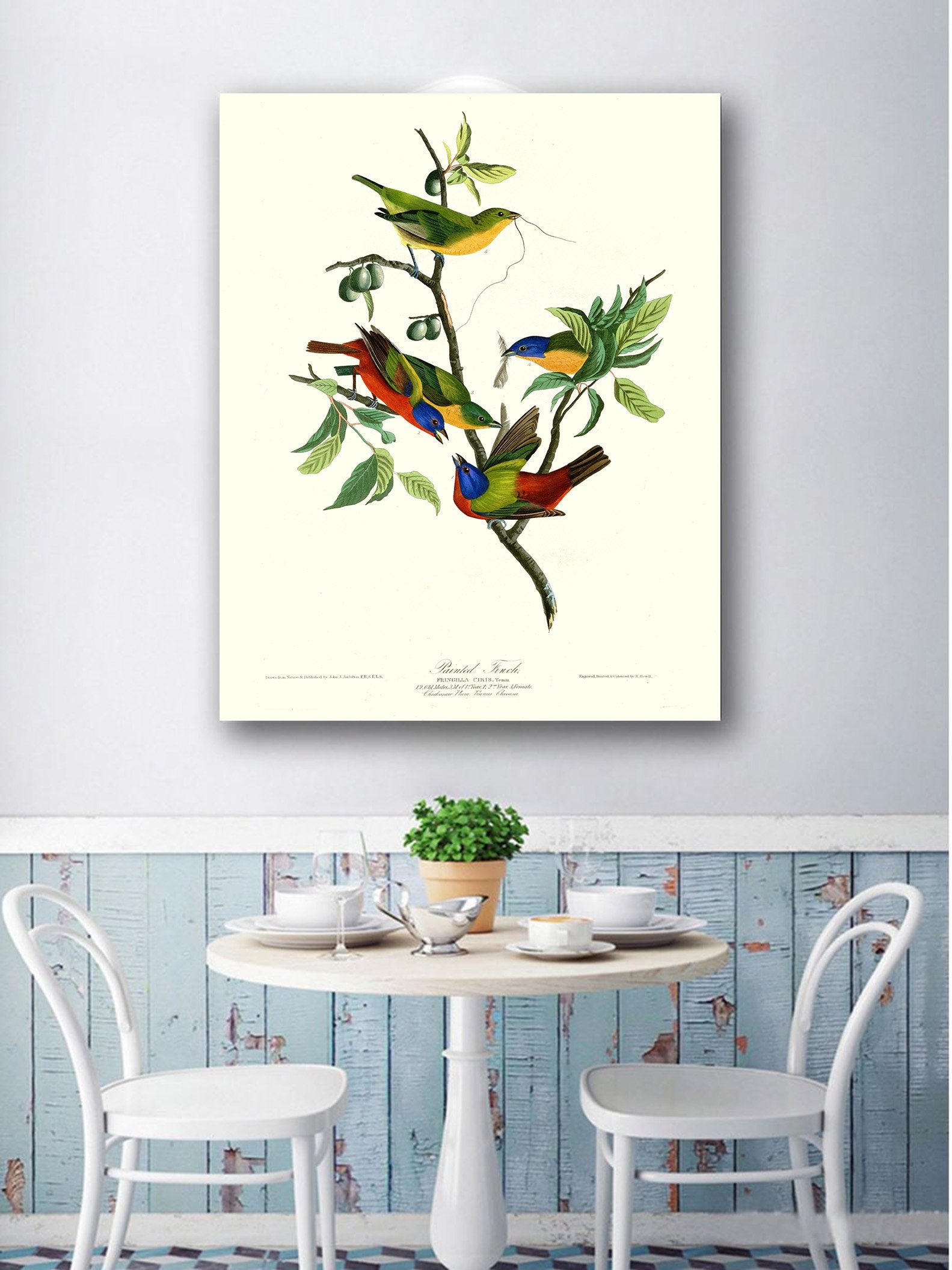 Niwo Art - Painted Finch, By John James Audubon. The Birds Of America Reproductions. Giclee Print Acrylic Coating On Canvas For