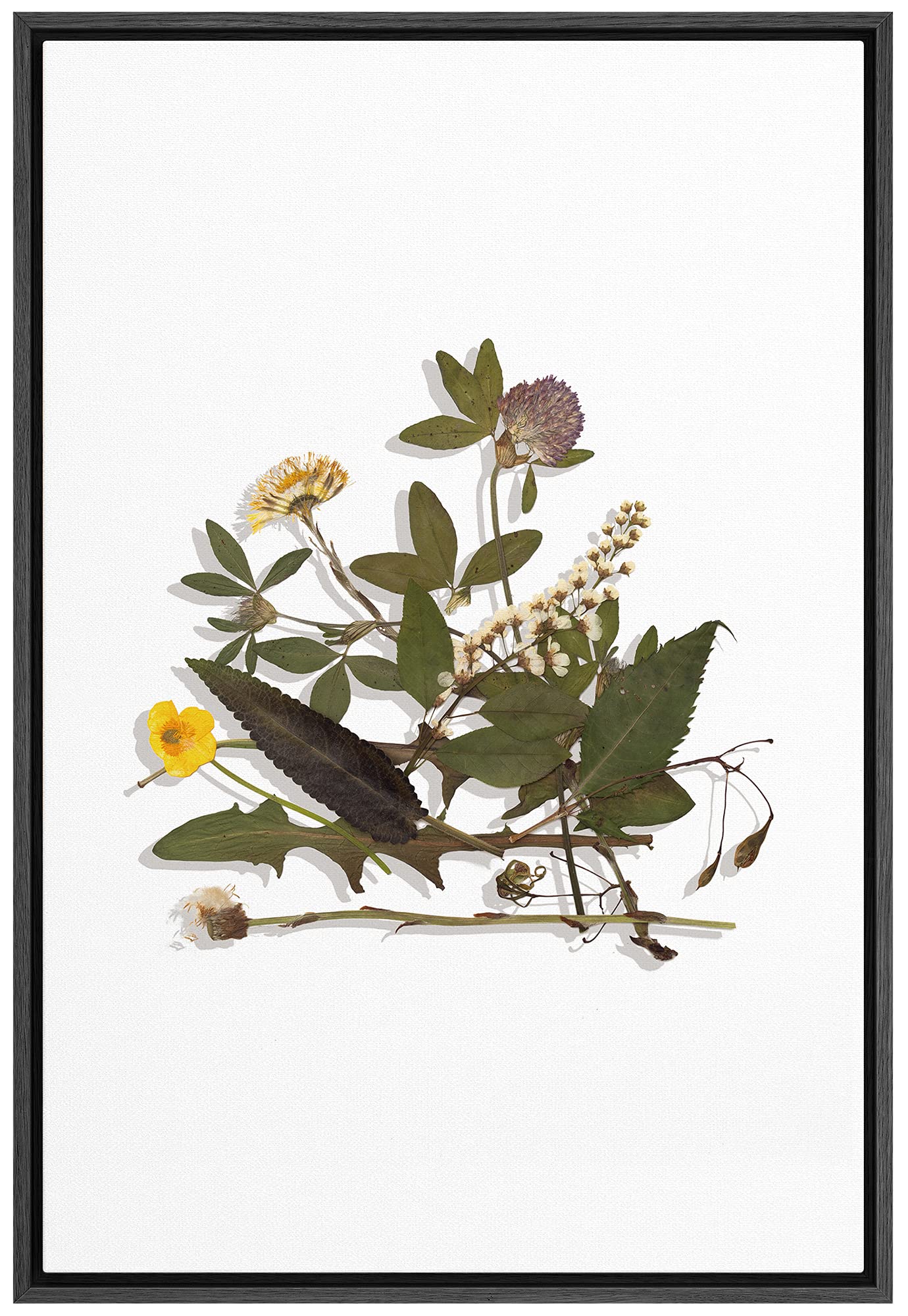 Signford Canvas Print Wall Art Dandelions & Poppies With Leaves Floral Plants Illustrations Modern Art Rustic Group Colorful Coo