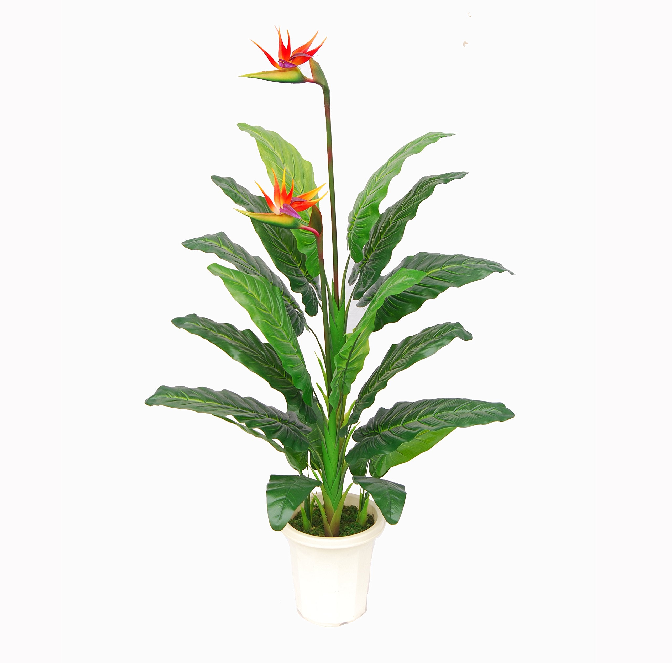 AMERIQUE Unique And Gorgeous Large 5 Paradise Bird Flower Artificial Plant Real Touch Technology, with Nursery Plastic Pot, wit