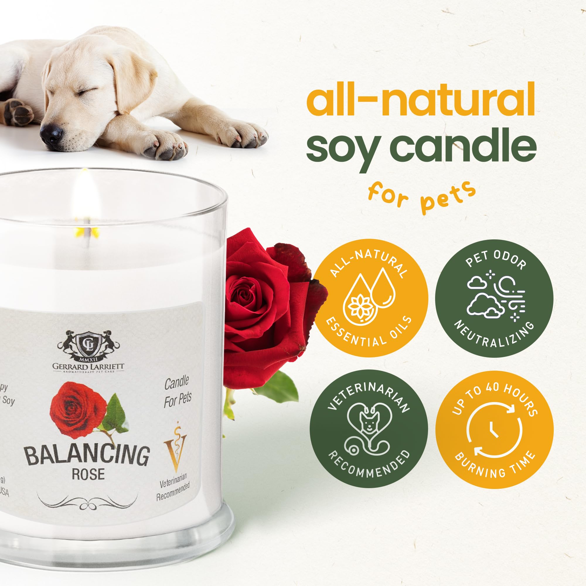 Pet Odor Eliminator Candle Balancing Rose Scented Candles for Home Decor - Calming Candles Aromatherapy, Soy Wax Pet Candles Odo