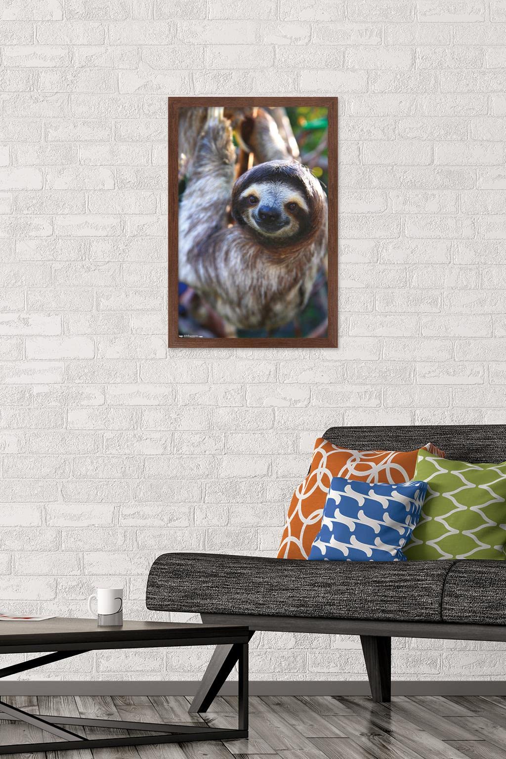 Trends International Sloth - Smile Wall Poster, 14.725'' X 22.375'', Mahogany Framed Version