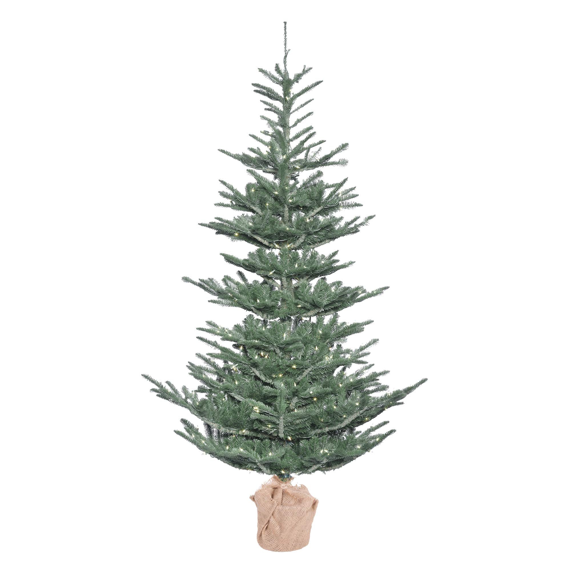 Vickerman G160441LED Alberta Blue Spruce Christmas Tree
