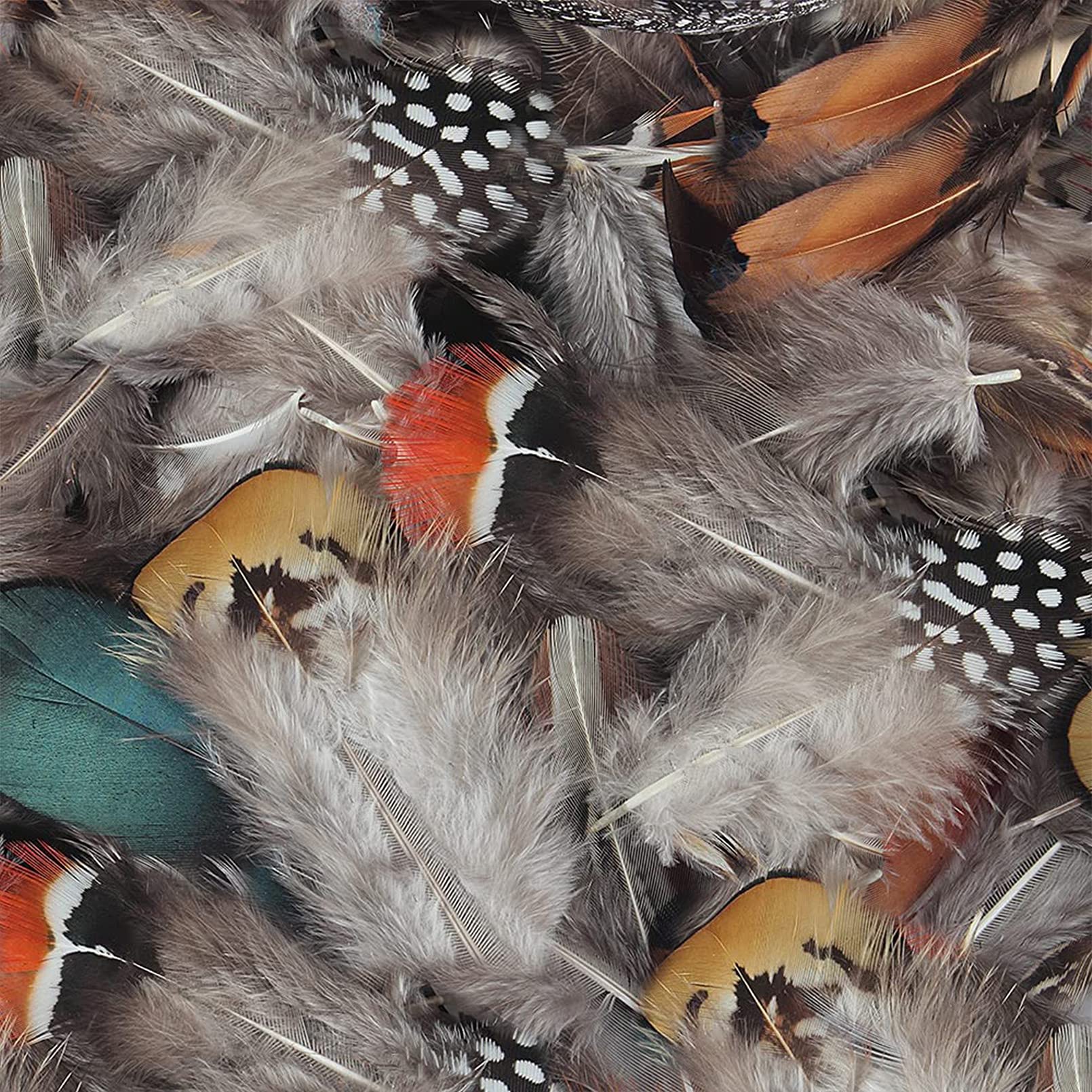300Pcs 10 Style Natural Feathers Assorted Mixed Feathers For Dream Catcher Crafts Decoration A (10 Styles300 Pcs)