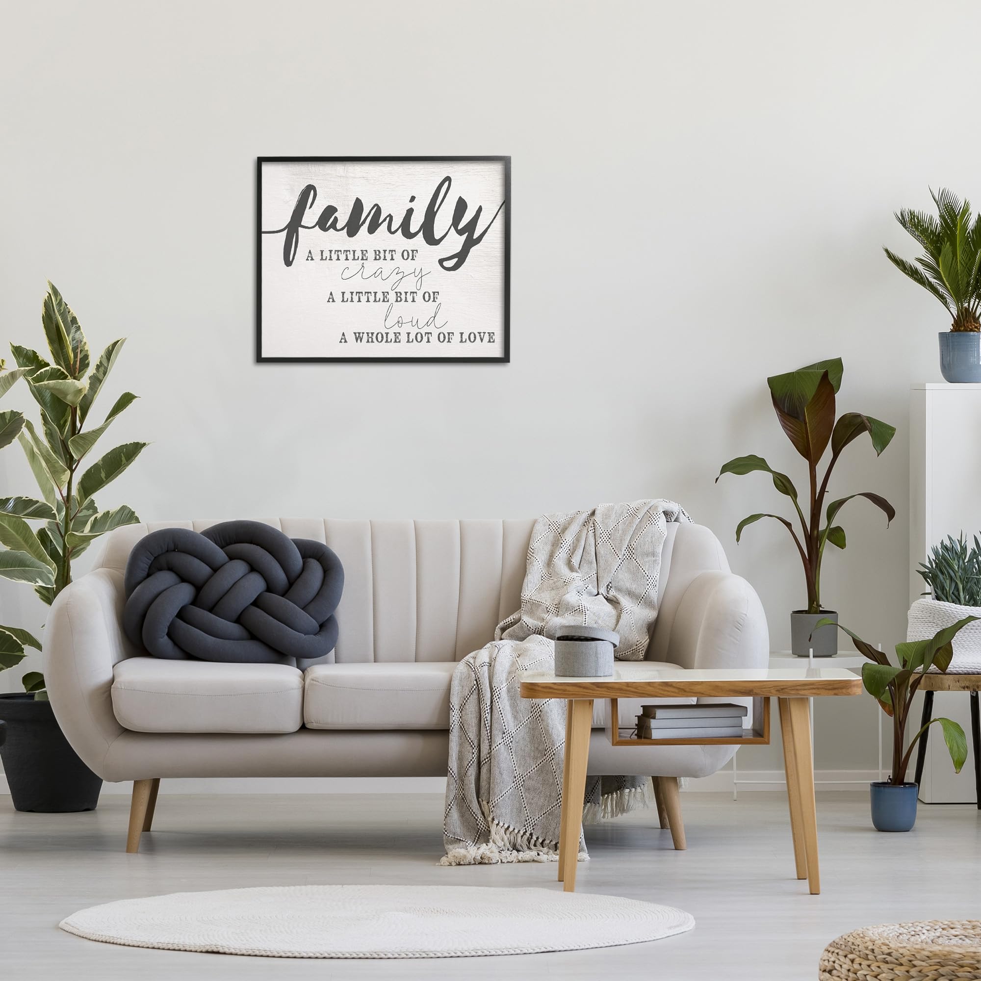 Stupell Industries Family Crazy Loud Love Inspirational Word Design Framed Giclee Art Design By Artist Daphne Polselli