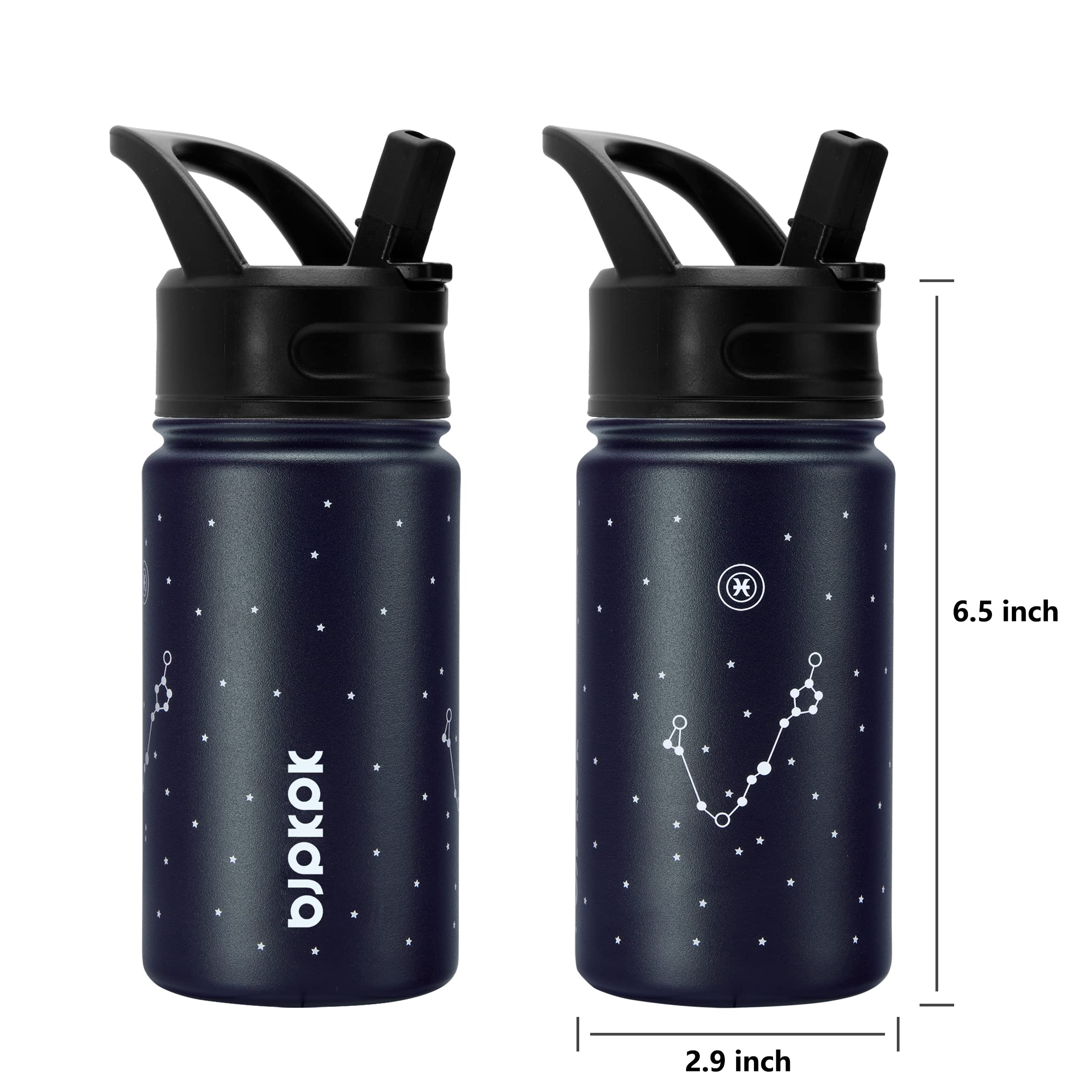Bjpkpk Water Bottle With Straw Lid, 15 Oz Insulated Water Bottle, Stainless Steel Metal Water Bottles, Reusable Leak Proof Bpa F