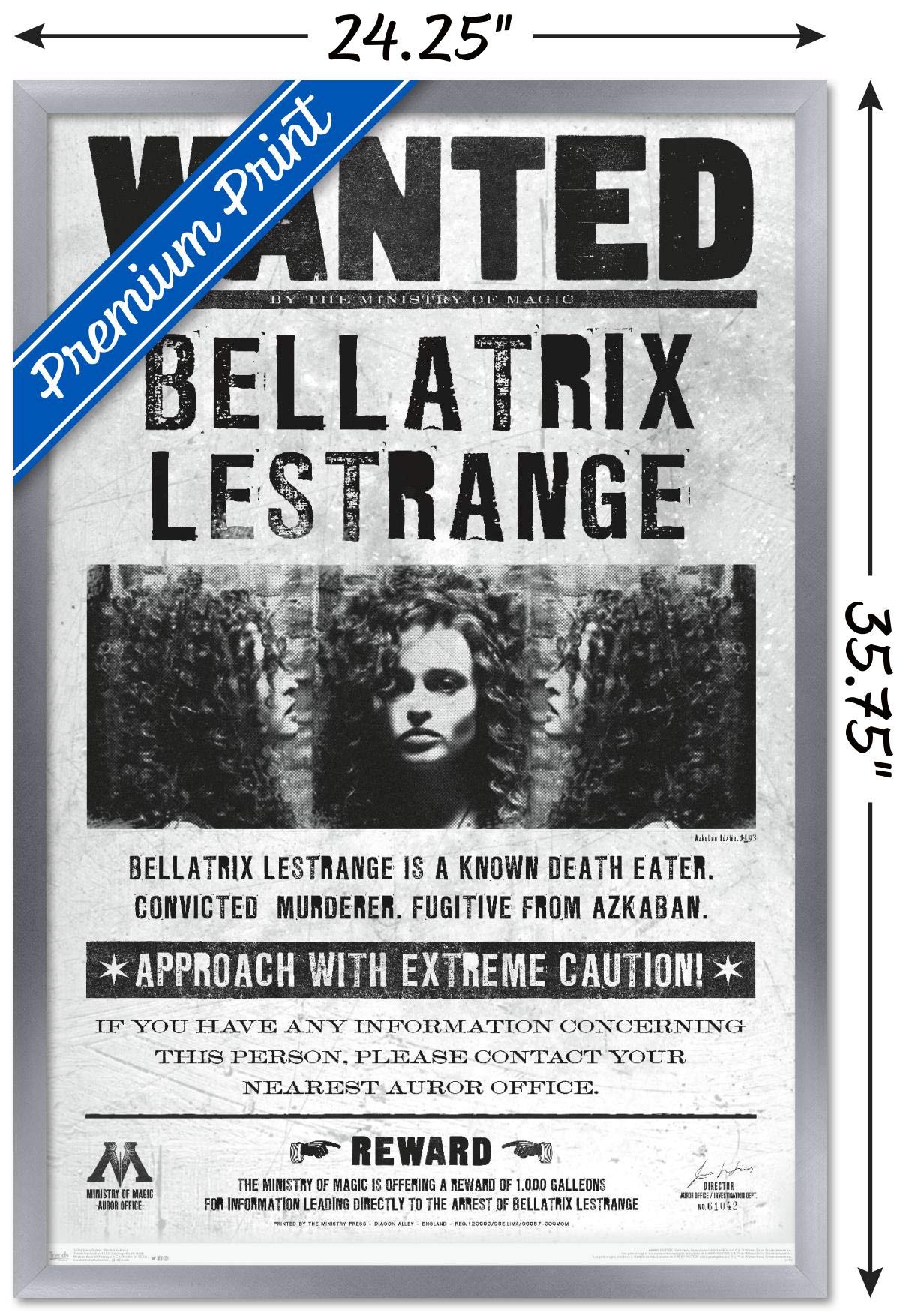 Trends International The Wizarding World: Harry Potter - Bellatrix Wanted Poster Wall Poster, 22.375'' X 34'', Silver Framed Ver