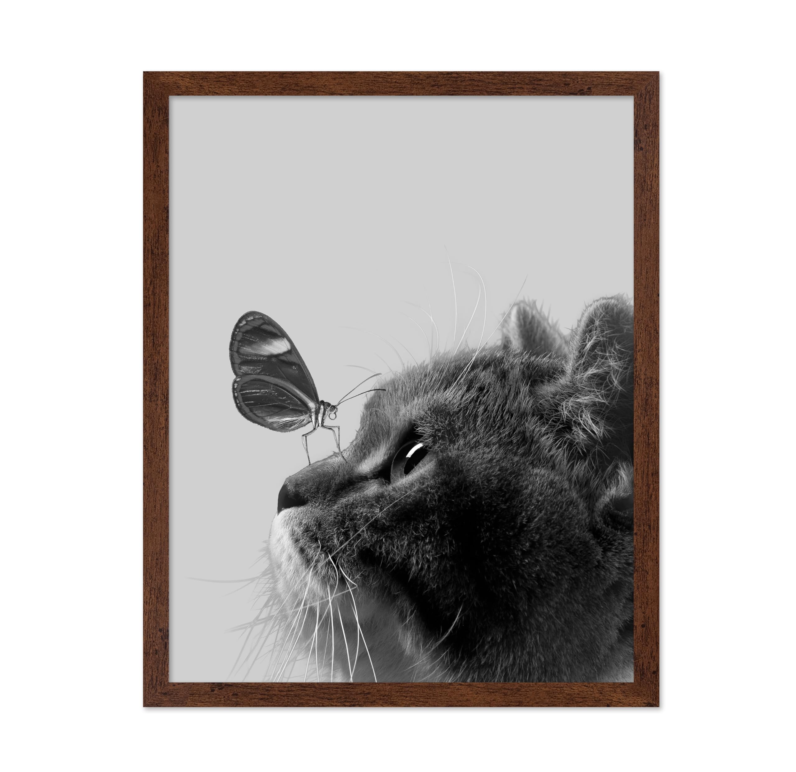 Poster Master Butterfly on Cat Poster - Cat and Butterfly Print - Gift for Veterinarian, Animal Lovers - Decor for Bedroom, Vet 