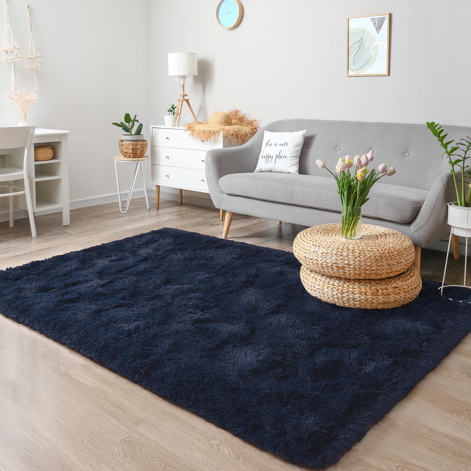 Chicrug Soft Area Rug for Bedroom Living Room Plush Fluffy Rug 4x6 Feet, Shag Furry Area Rug Carpet Non Shedding for Nursery Chi