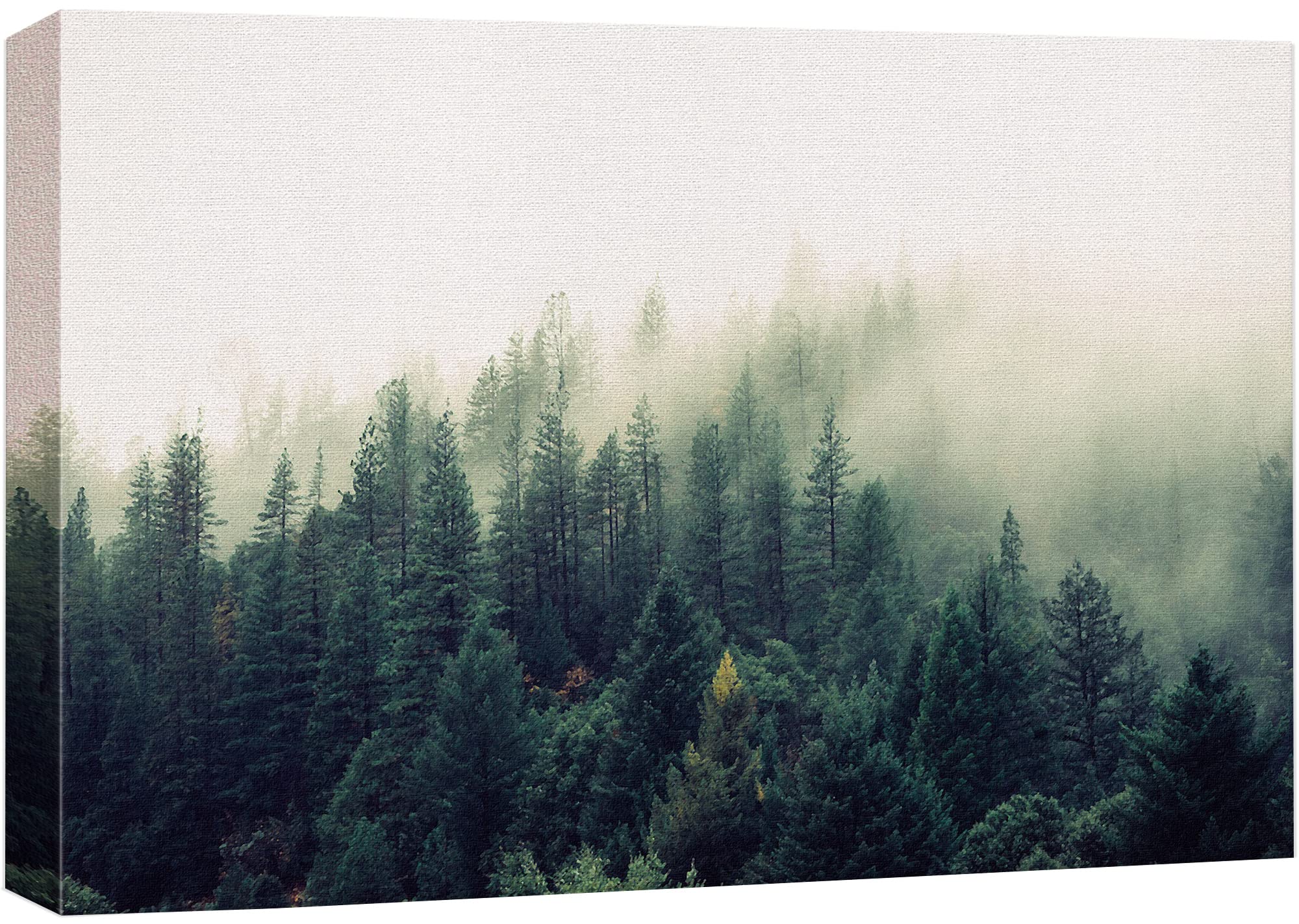 Wall26 Canvas Print Wall Art Misty Green Forest Pine Trees In Sunlight Nature Wilderness Photography Modern Art Rustic Scenic Co