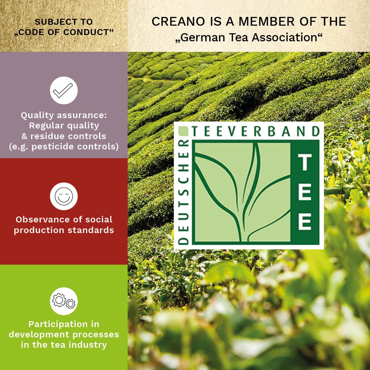 Creano Tea Flowers Mix Golden Gift Set Blooming Tea with Glass Teapot White  Green & Black Tea in 6 Varieties Tea Flower Blooming Tea Gift for Women