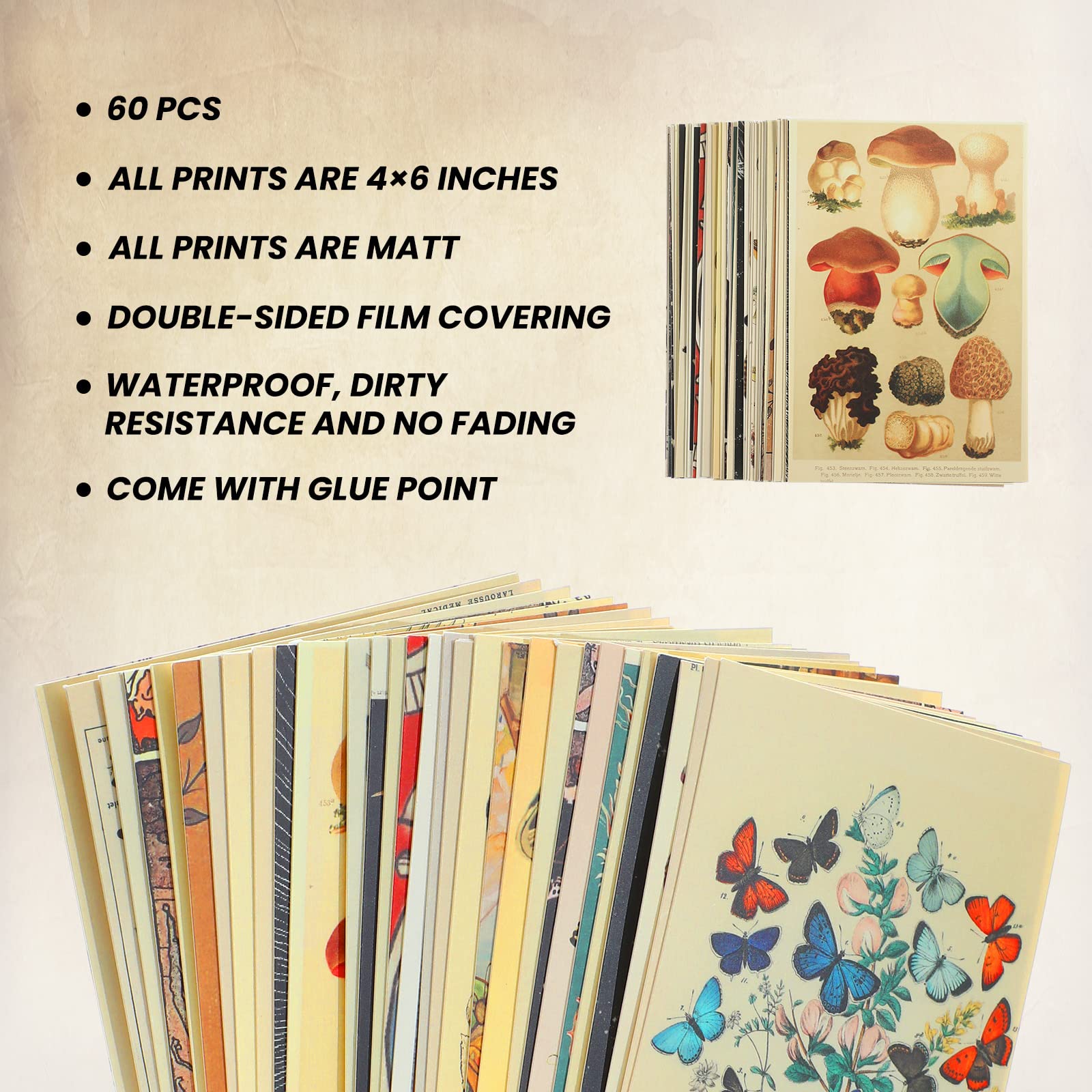 Containlol 60 Pcs Vintage Wall Collage Kit Botanical Illustration Tarot Aesthetic Print Vintage Wall Prints Vintage Cards Photo