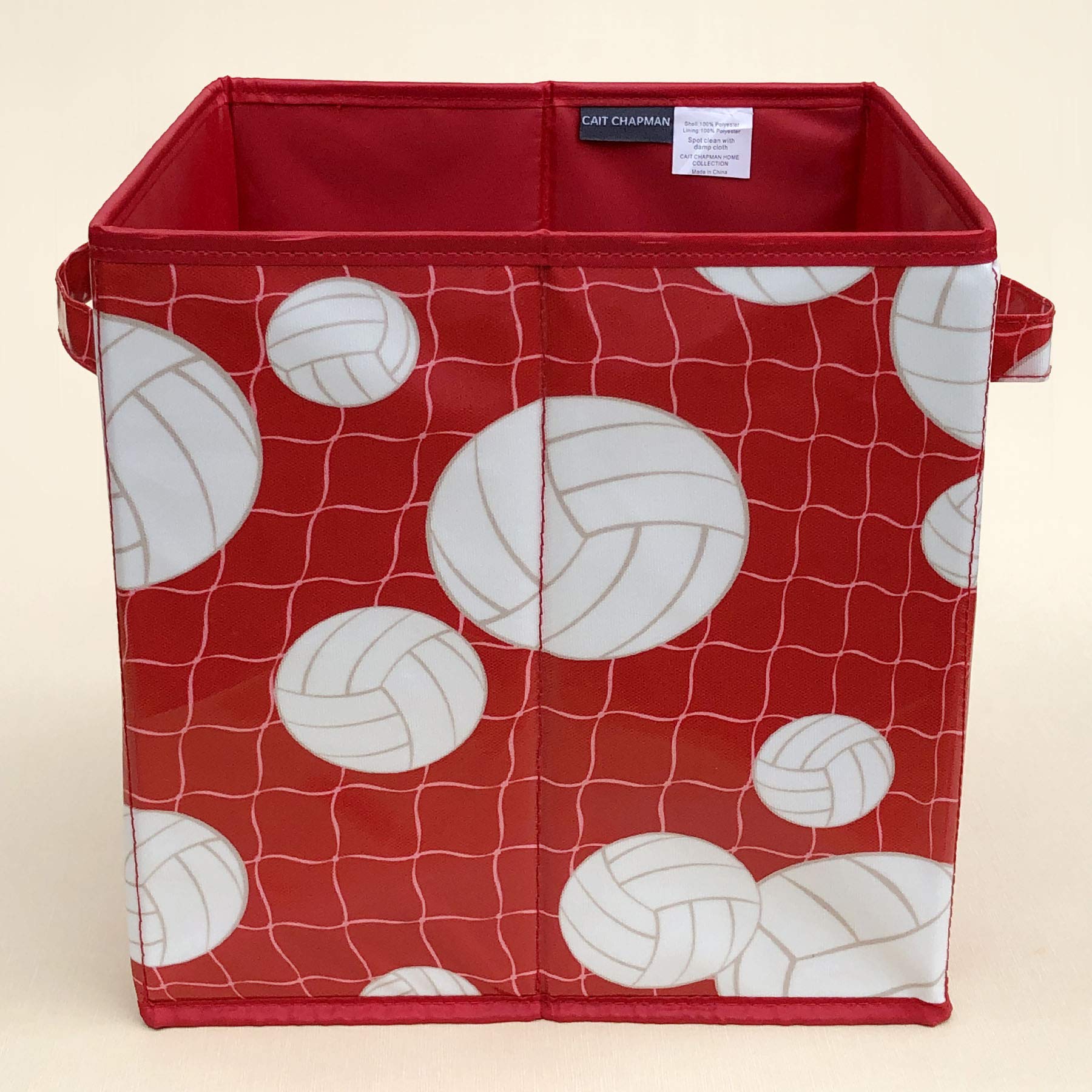 Passion For Volleyball Collection 11''X11''X11'' Storage Bin