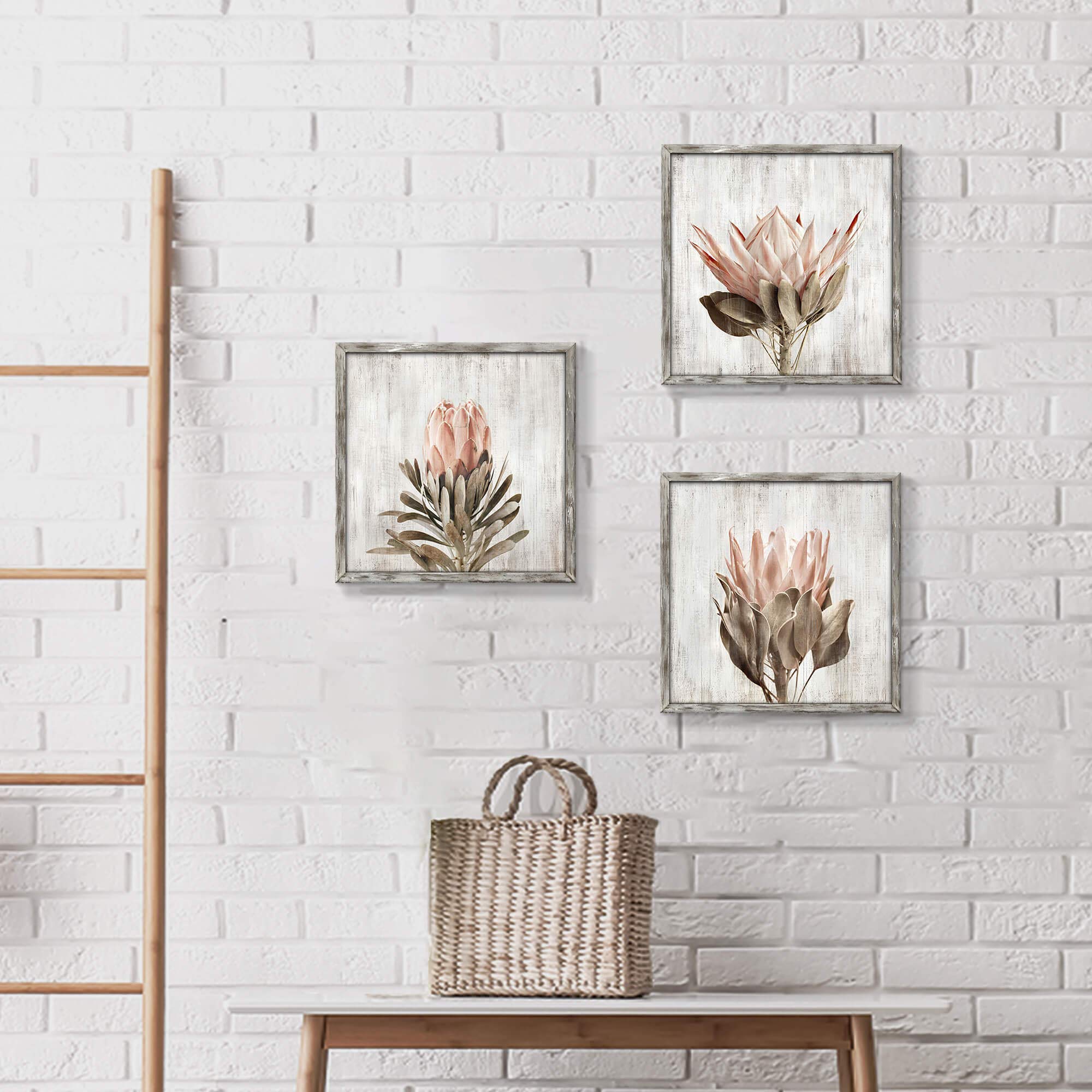 Pink Floral Wall Art Picture: Blossom Protea Flower Artwork Print On Rustic Wood Framed For Home Decor (12    X 12    X 3 Panels