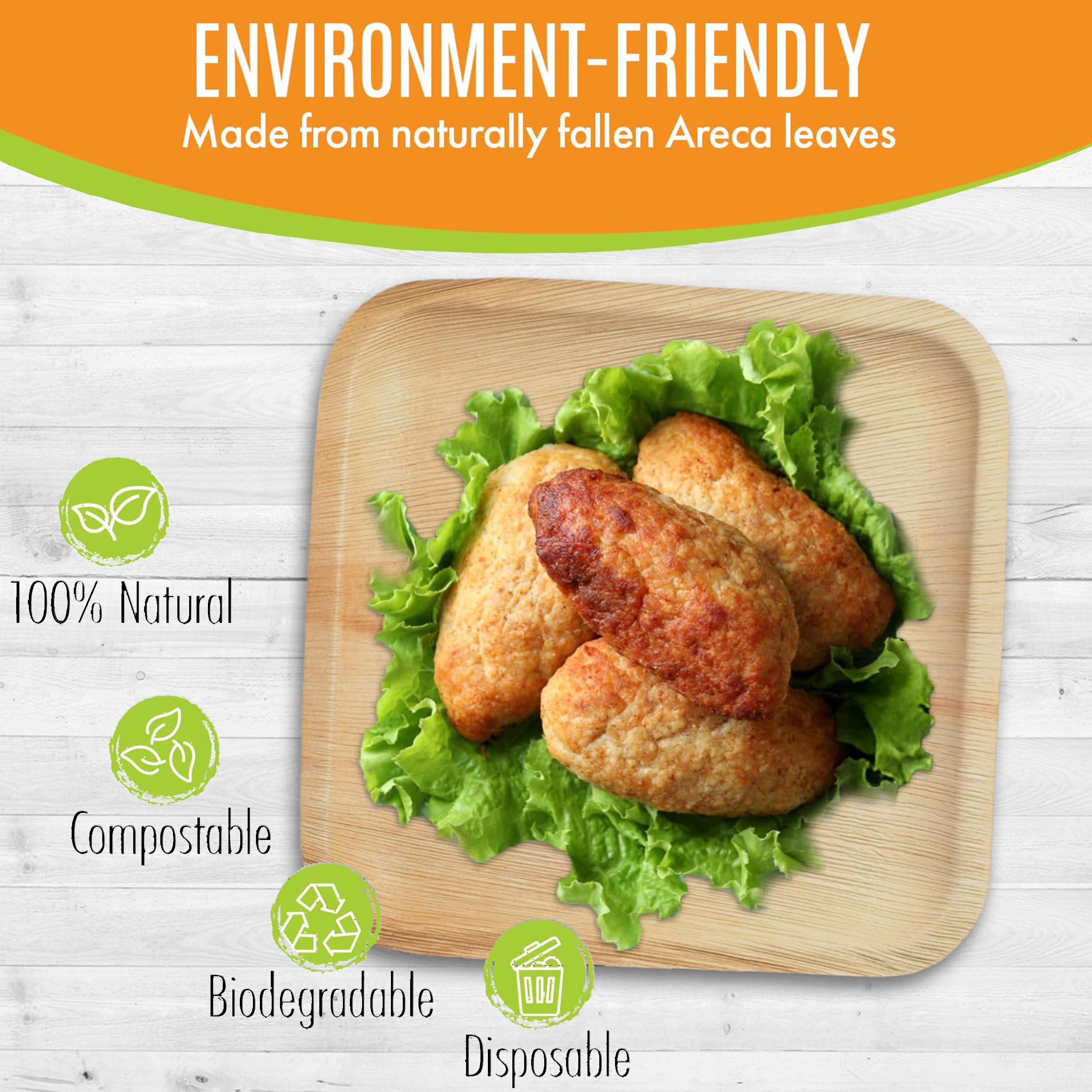 Raj Eco Compostable Palm Leaf Plates Like Bamboo Plates Disposable - 10 Inch Square 50 Party Plates  Natural Wooden  Eco-Friendly  Fancy Biodegradable & Disposable Wedding Picnic Plates