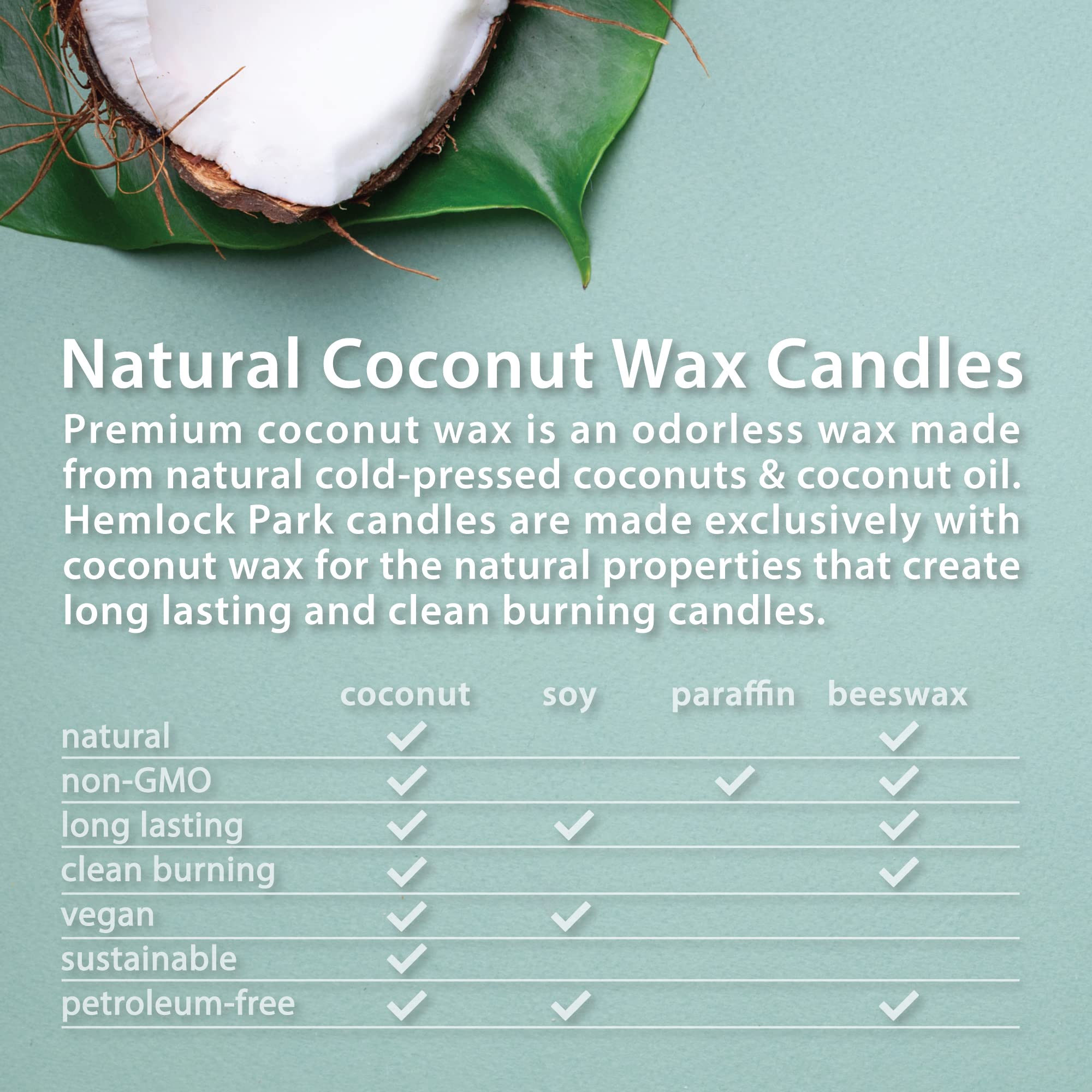 Hemlock Park Crackling Wood Wick Candle Handcrafted with Natural Coconut Wax (Standard 8 oz, Bamboo Grapefruit)