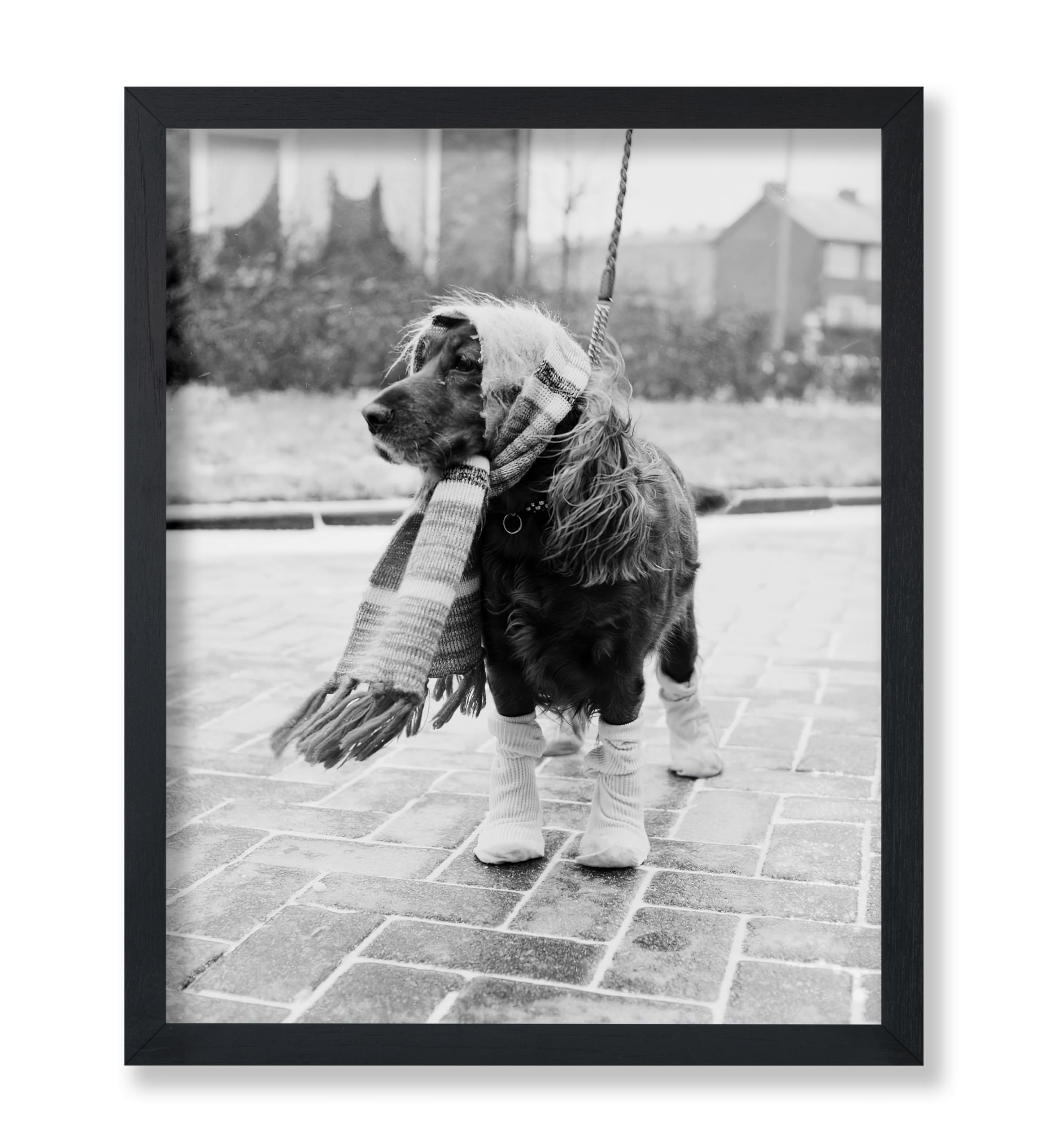 Poster Master Vintage Dog Dressed for Winter Print - Retro Dog Fashion Poster - Photography Art - Funny Gift for Men, Women, Ani