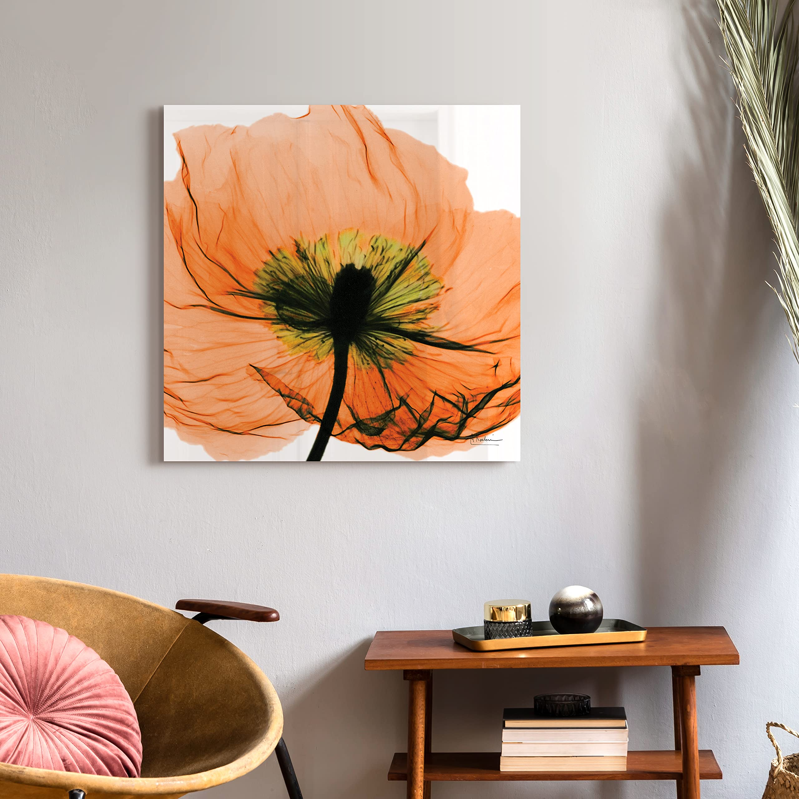 Empire Art Direct Frameless Free Floating Tempered Glass Panel Graphic Wall Art Ready To Hang, 24'' X 24'', Poppy Orange