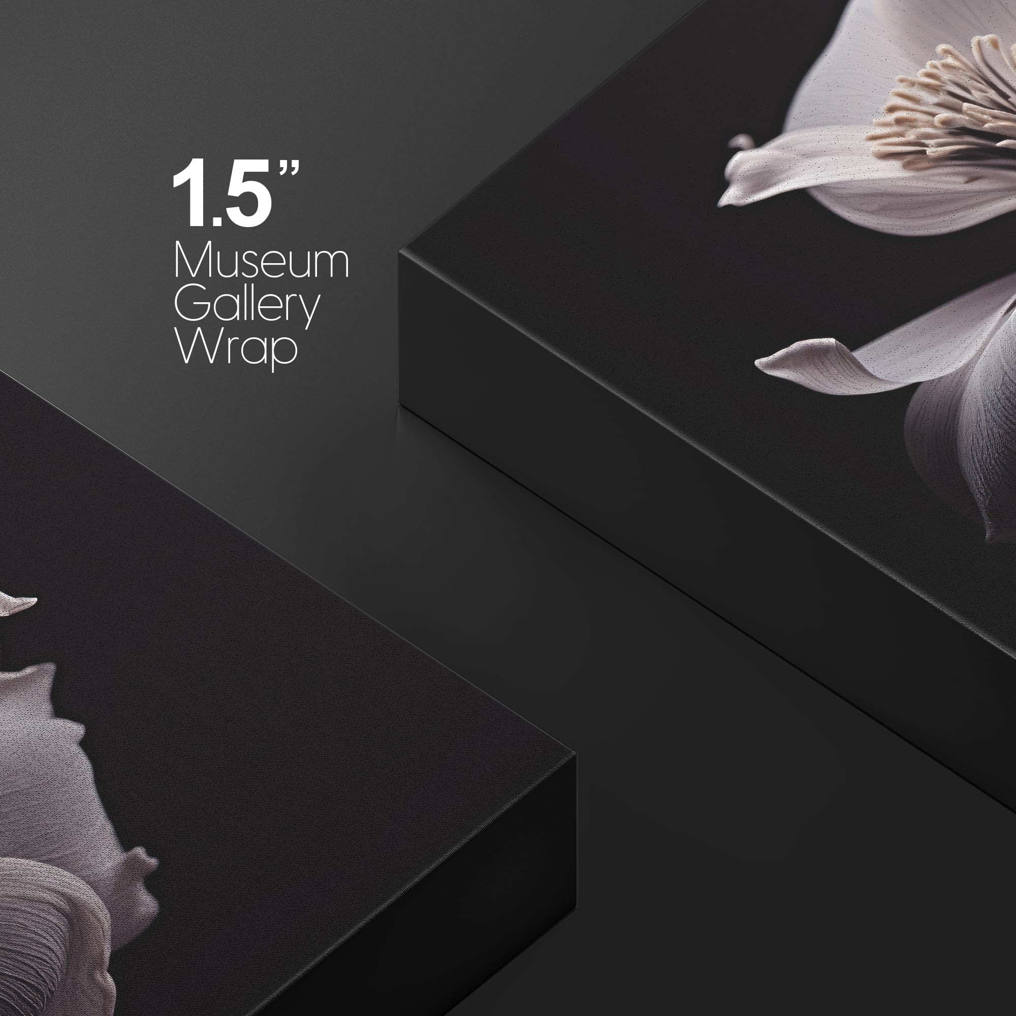 Wall26 Canvas Print Wall Art White Clematis Flower Closeup Nature Wilderness Photography Realism Modern Art Decorative Country M