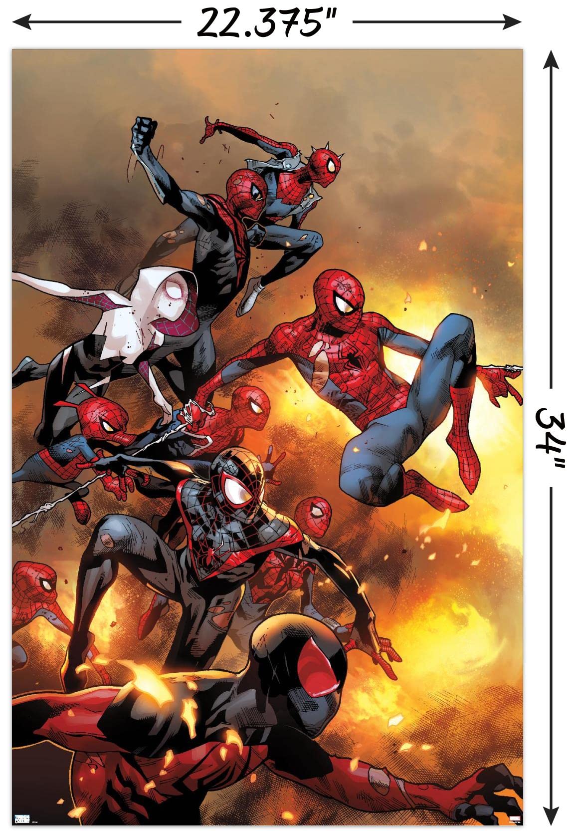 Trends International Marvel Comics - Spider-Verse - The Amazing Spider-Man #13 Wall Poster, 22.37'' X 34.00'', Poster & Mount Bu