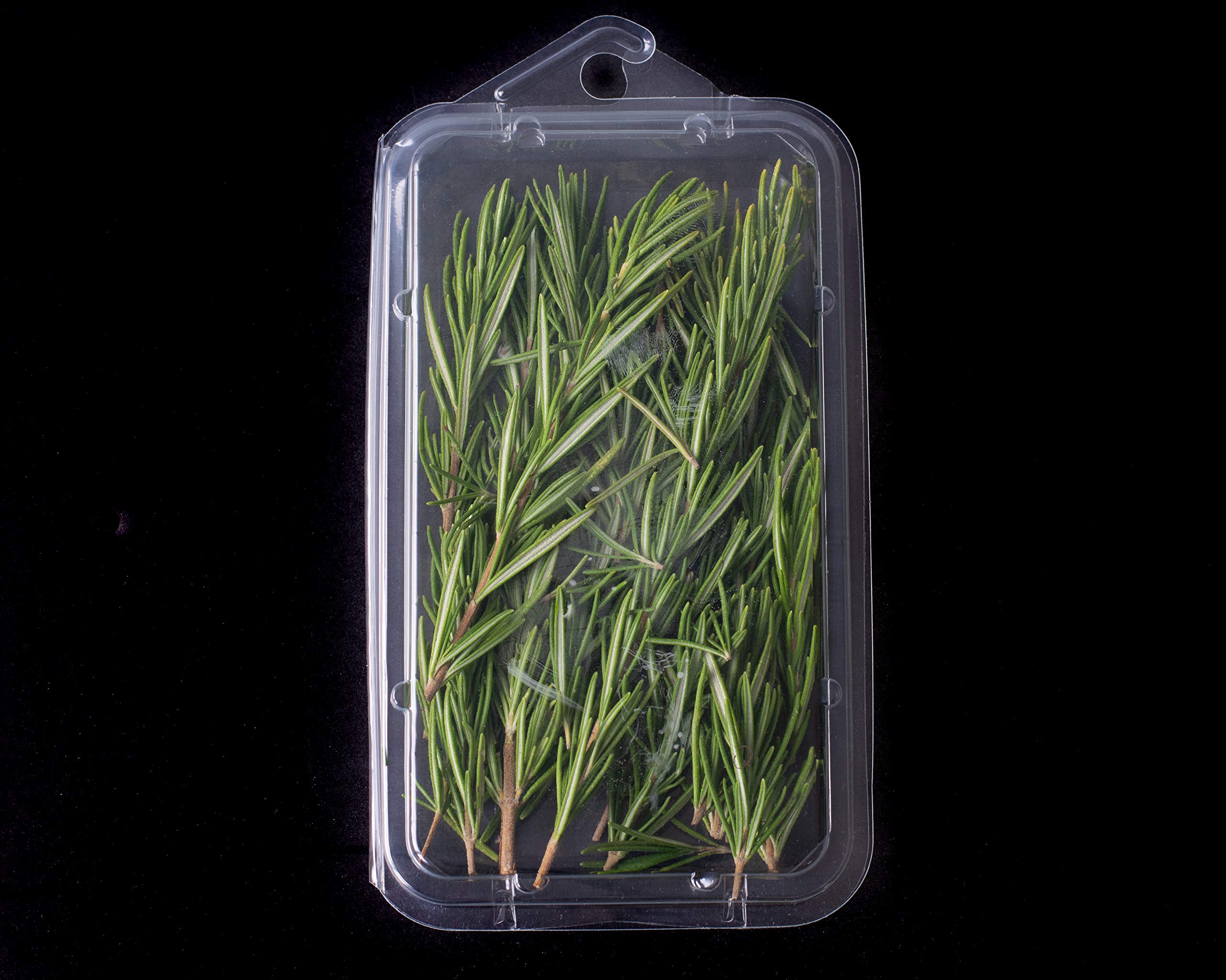 Ja Kitchens .75 Ounce Small Herb Clamshell Container - Disposable - Pack Of 20