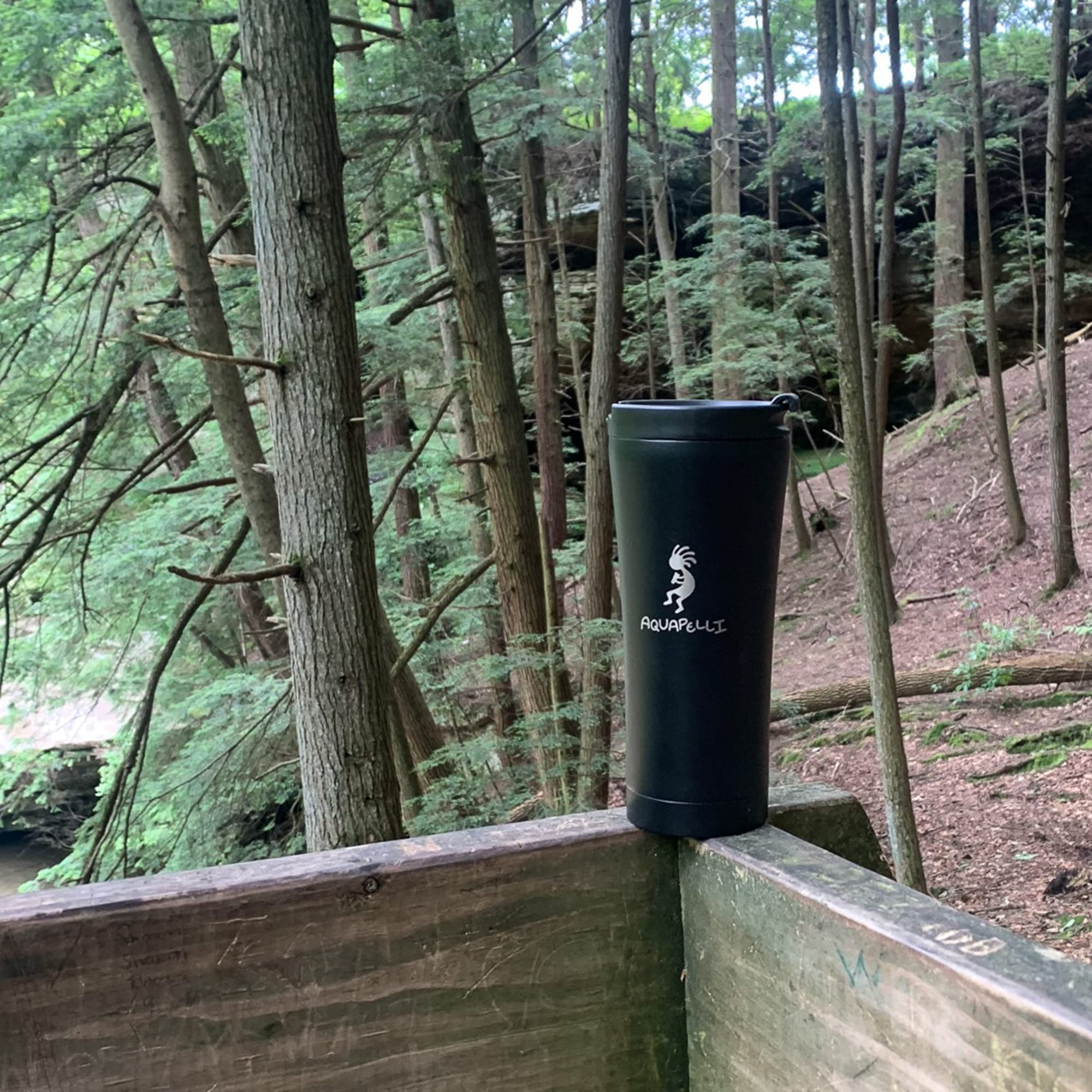 Aquapelli Vacuum Insulated Travel Coffee Mug, 16 Ounces, Willow Green