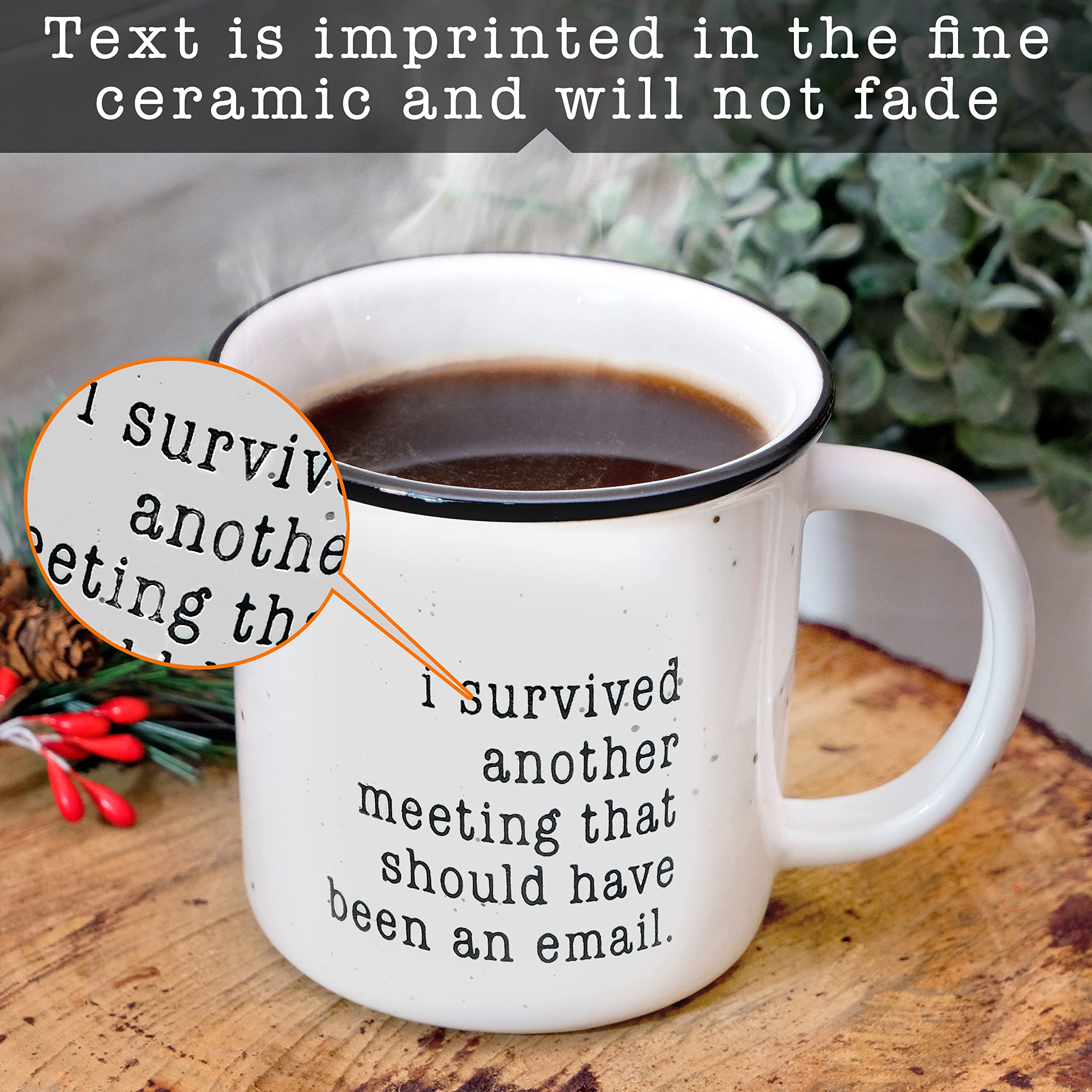 I Survived Another Meeting That Should Have Been An Email Mug 11 Ounce  I Survived A Meeting Mug Funny Coffee Mug I Survived Another Meeting Funny Mug I Survived Mug Coffee Mug Survived Meeting Cup