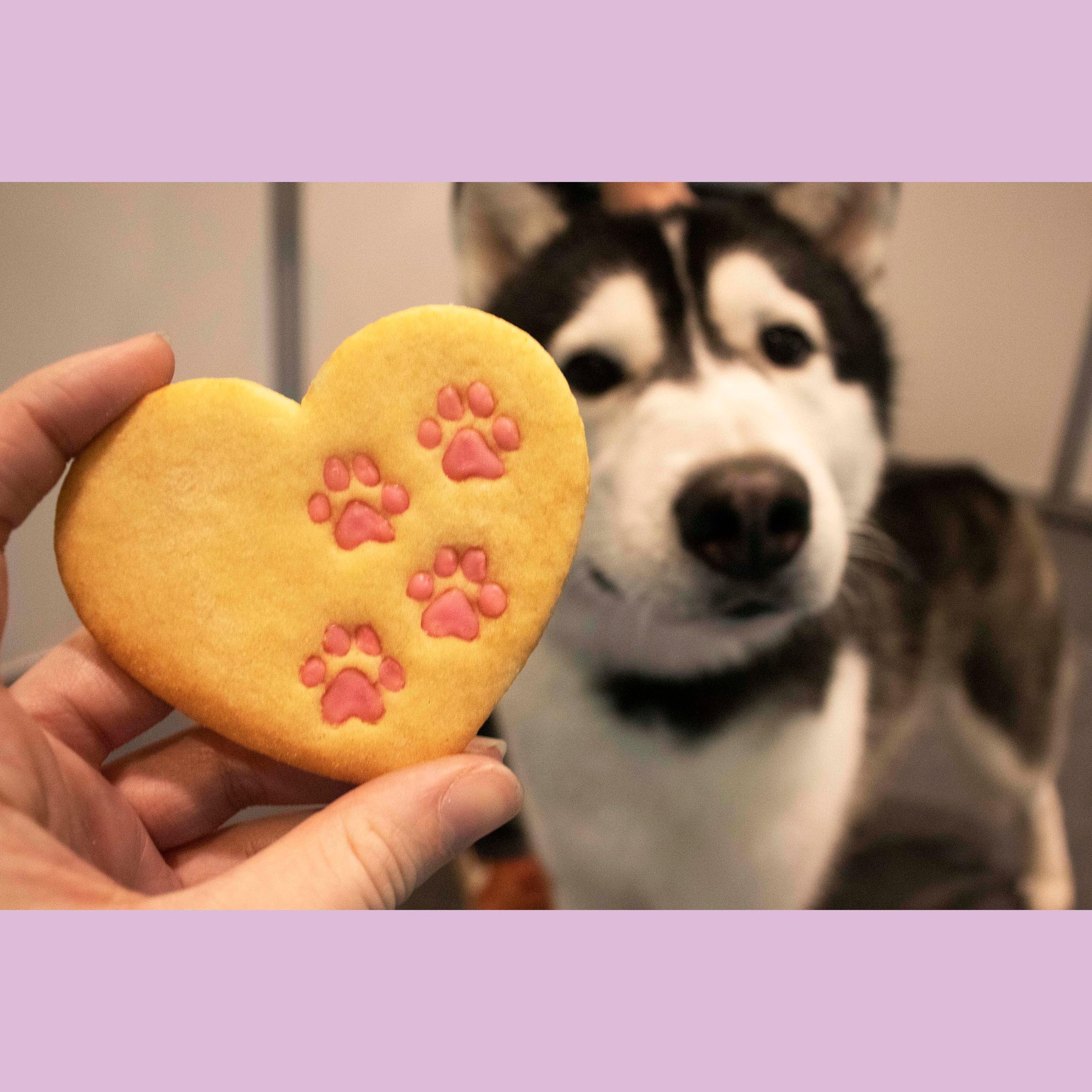 Heart Paw Prints Cookie Cutter, 1 Piece - Bakerlogy