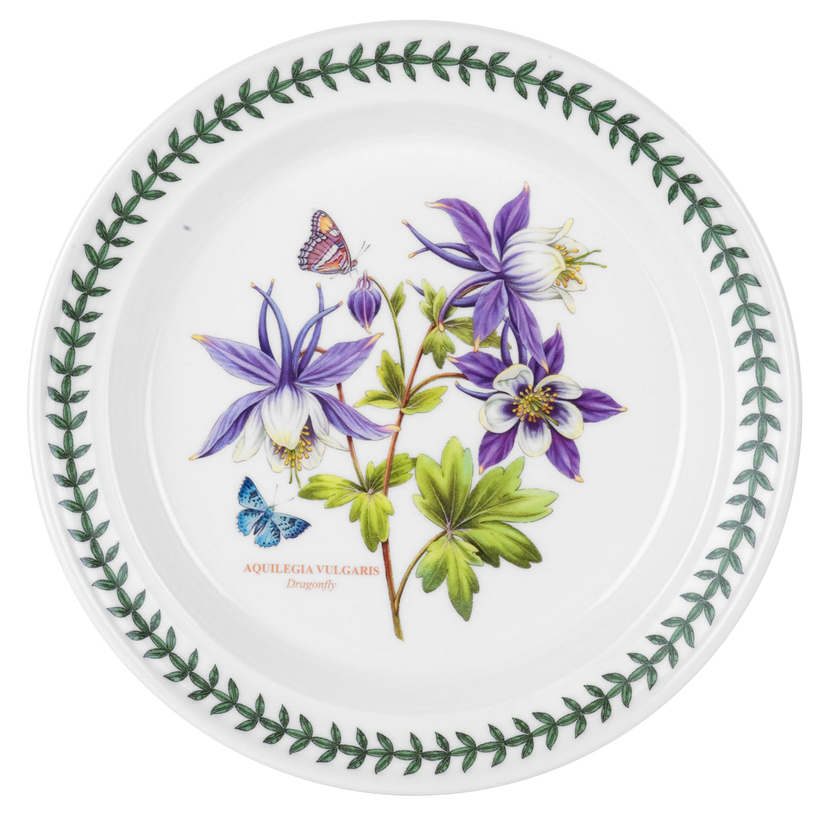 Portmeirion Exotic Botanic Garden 10.5-Inch Dinner Plate, Dragonfly - Made In England, Dishwasher & Microwave Safe - Floral Fine