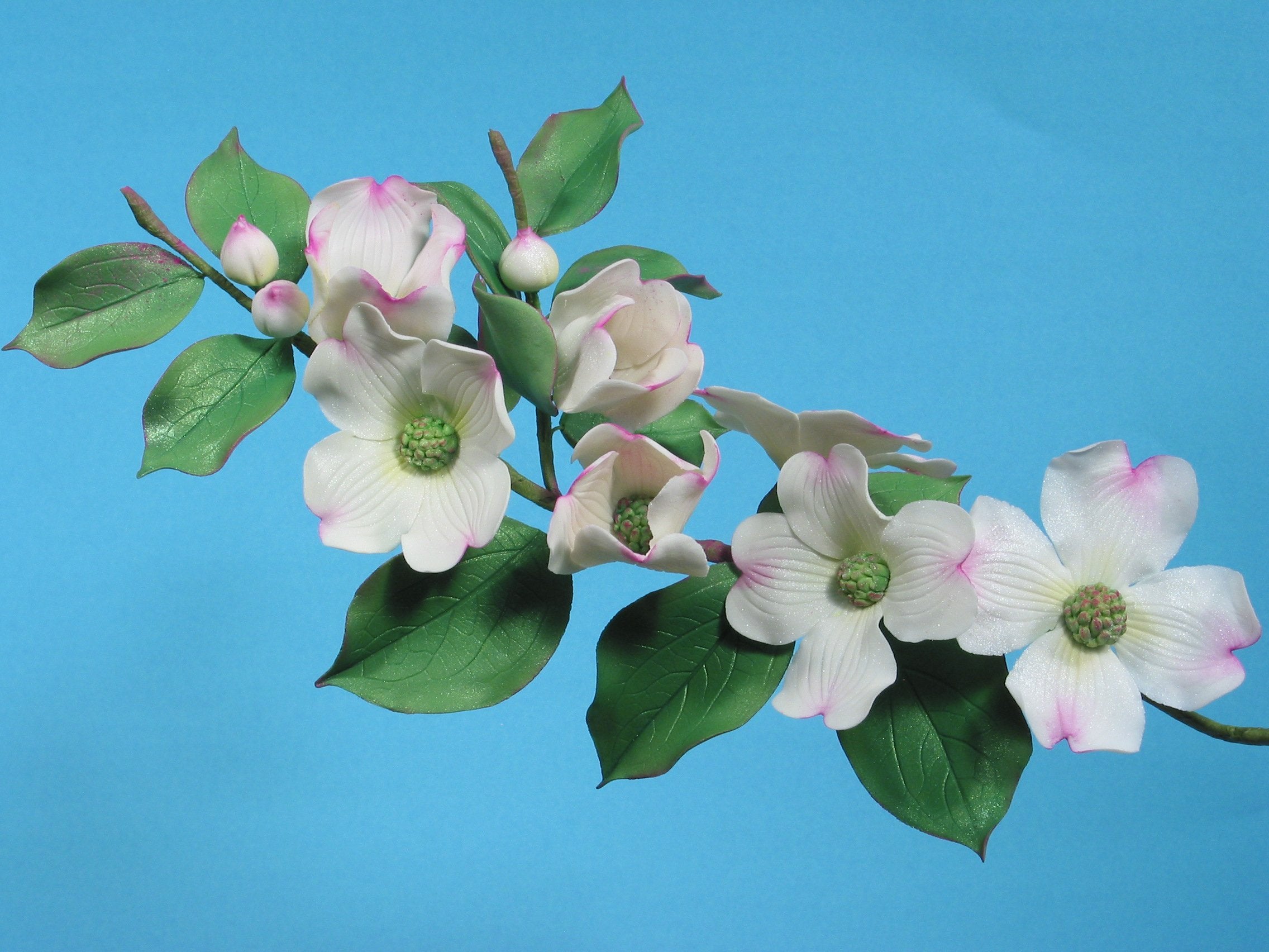 Dogwood Center Maker Silicone Mold