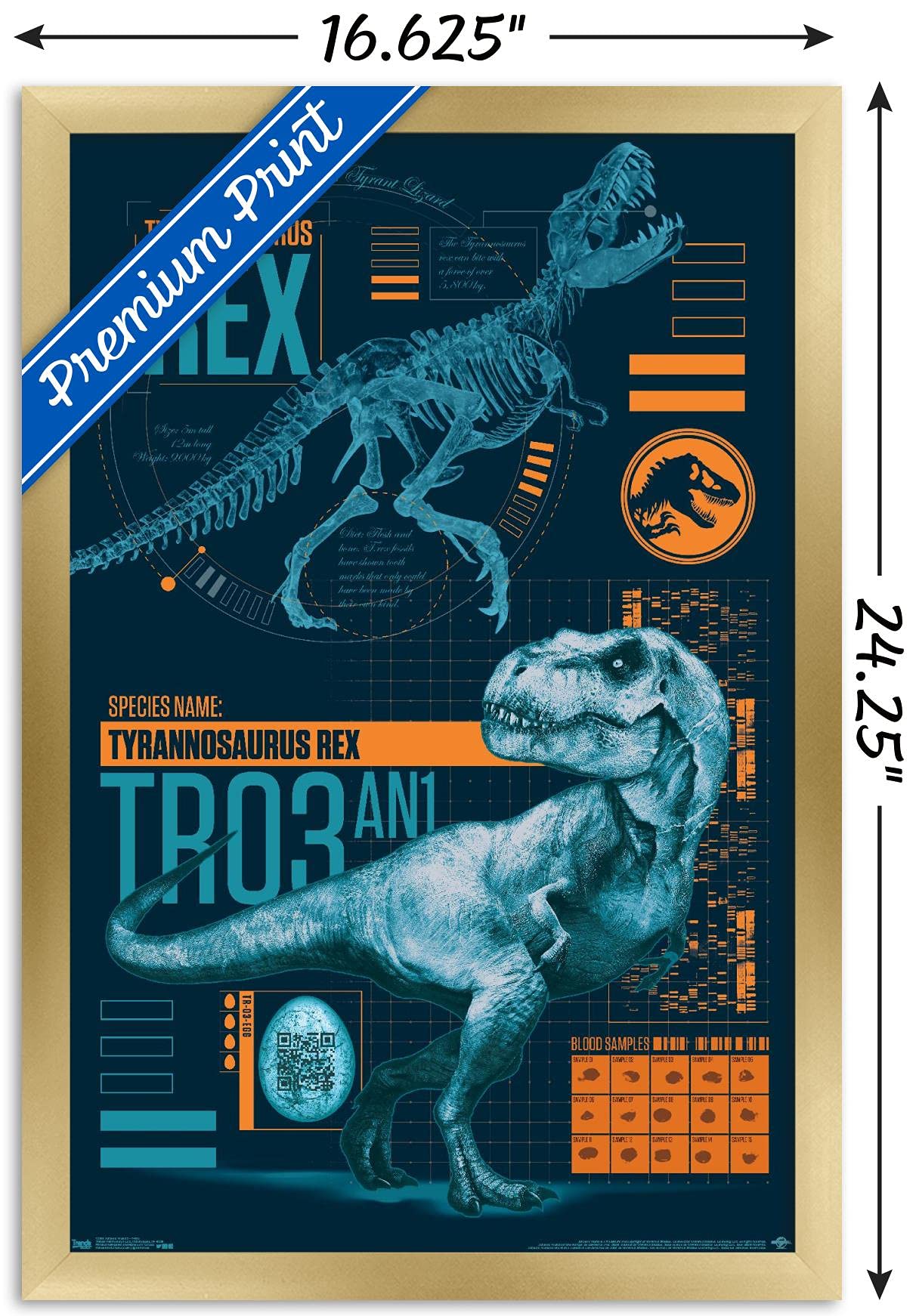 Trends International Jurassic World: Fallen Kingdom - T-Rex Wall Poster, 14.725'' X 22.375'', Gold Framed Version