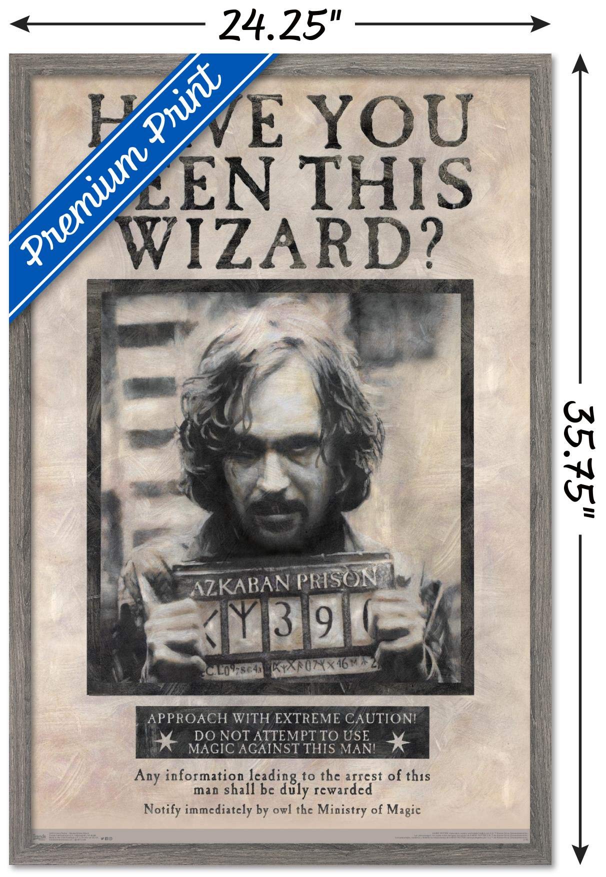 Trends International The Wizarding World: Harry Potter - Sirius Black Wanted Poster Wall Poster, 22.375'' X 34'', Poster & Mount